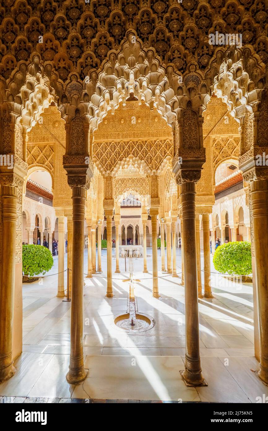 Corte dei leoni nel complesso dei palazzi reali Nasrid - complesso dell'Alhambra - Granada, Spagna Foto Stock