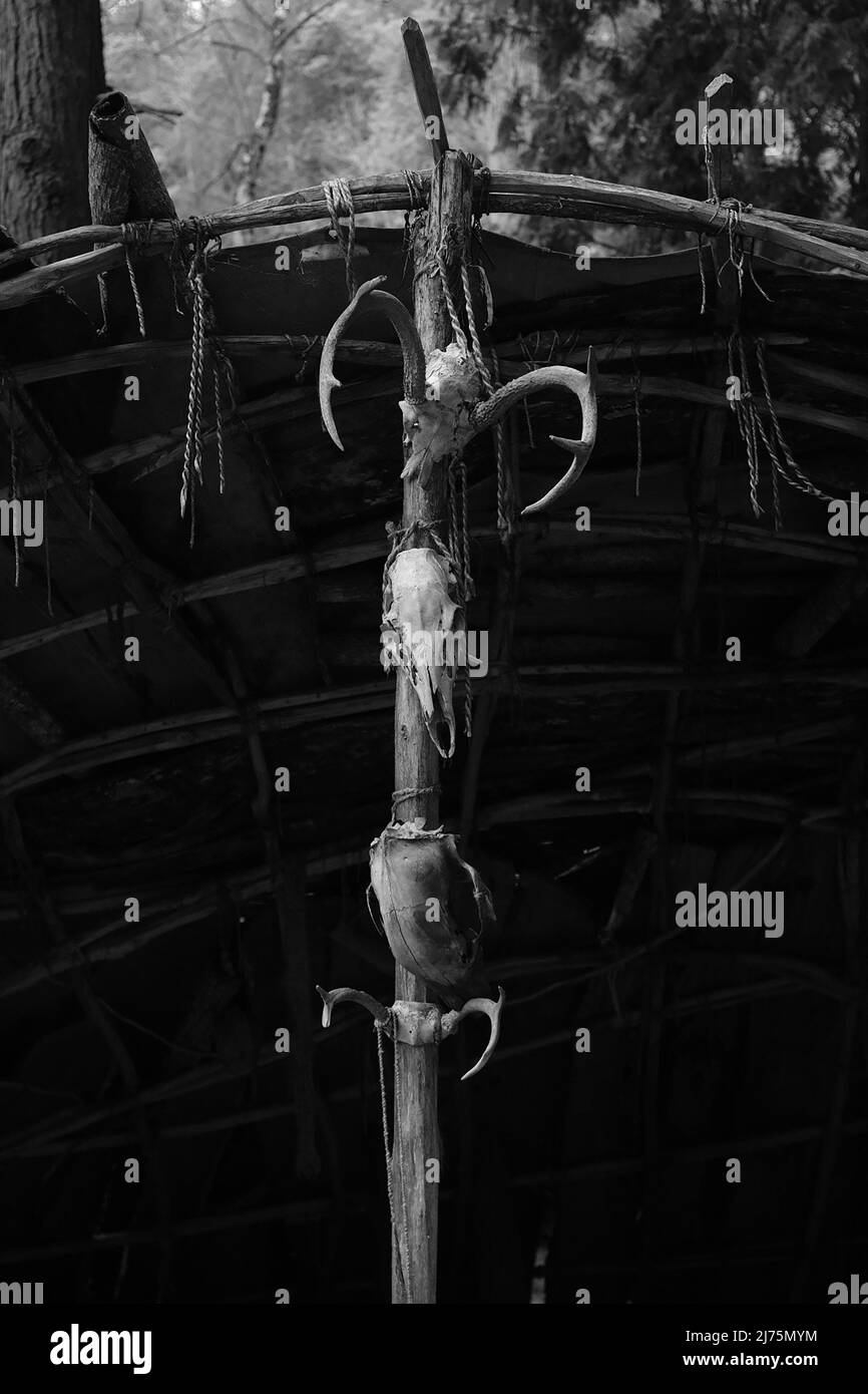 Corna e teschi al Natural Bridge state Park, Virginia Foto Stock