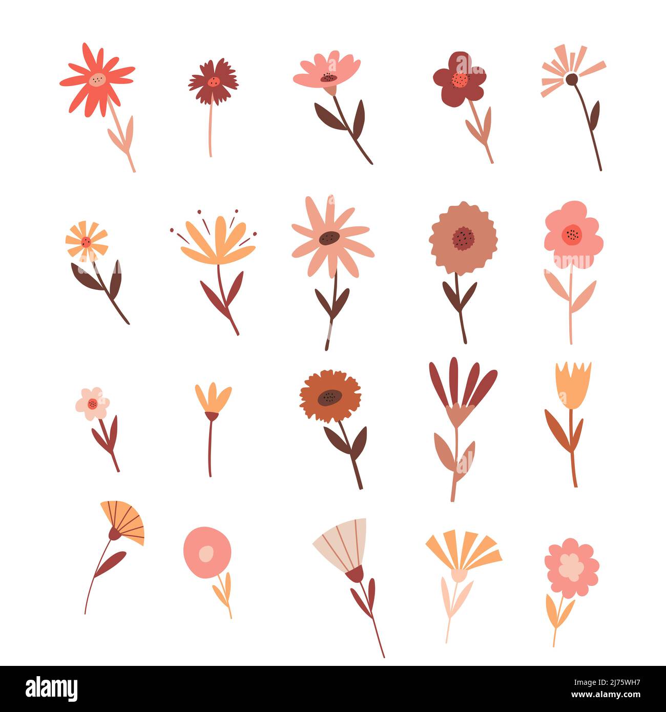Un set di colori semplici in boho colori. Elementi di disegno botanici. Illustrazioni vettoriali piatte isolate su sfondo bianco Illustrazione Vettoriale