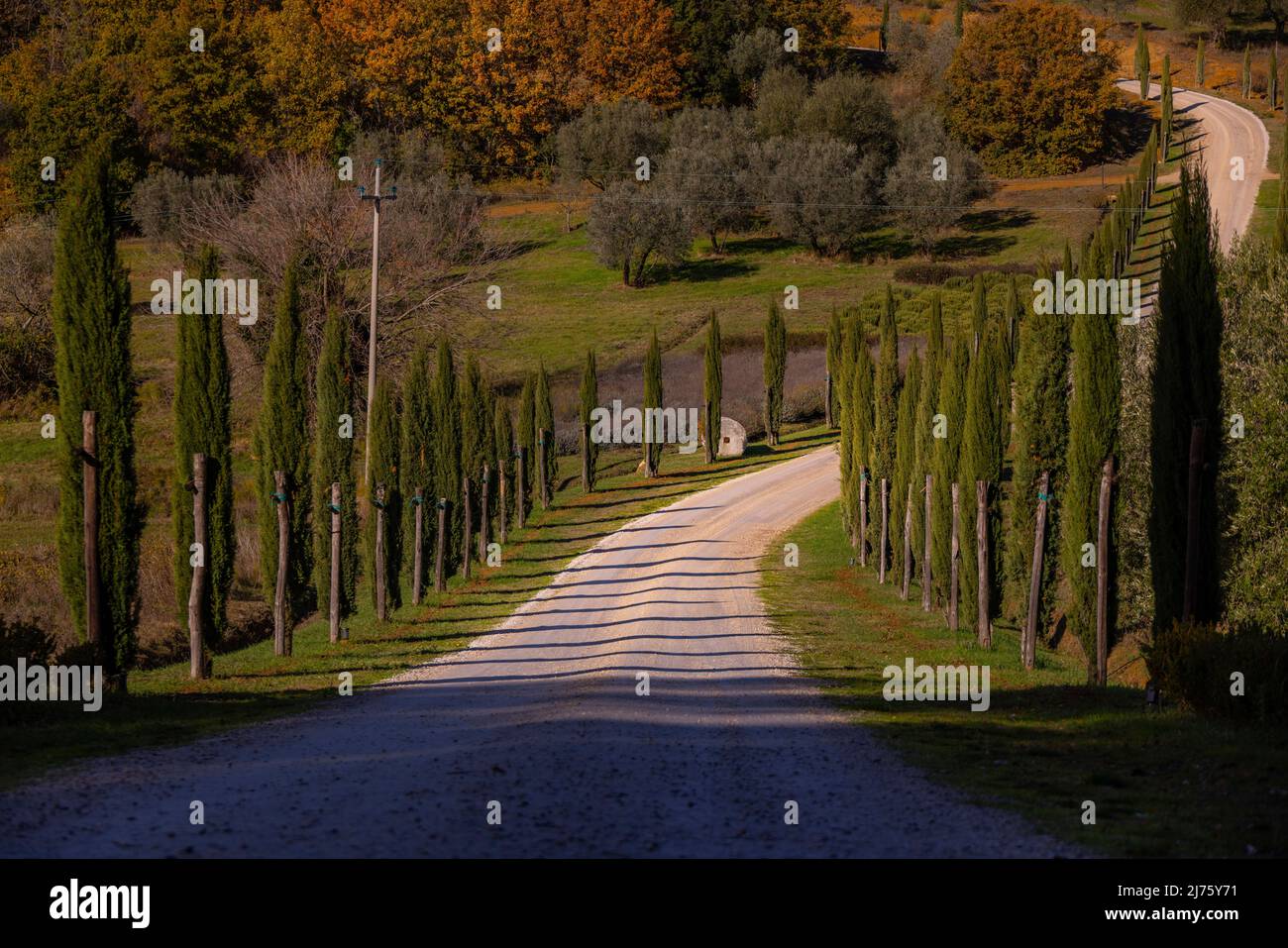 Vista tipica in Toscana con cipressi e bellissimi terreni di campagna, Foto Stock