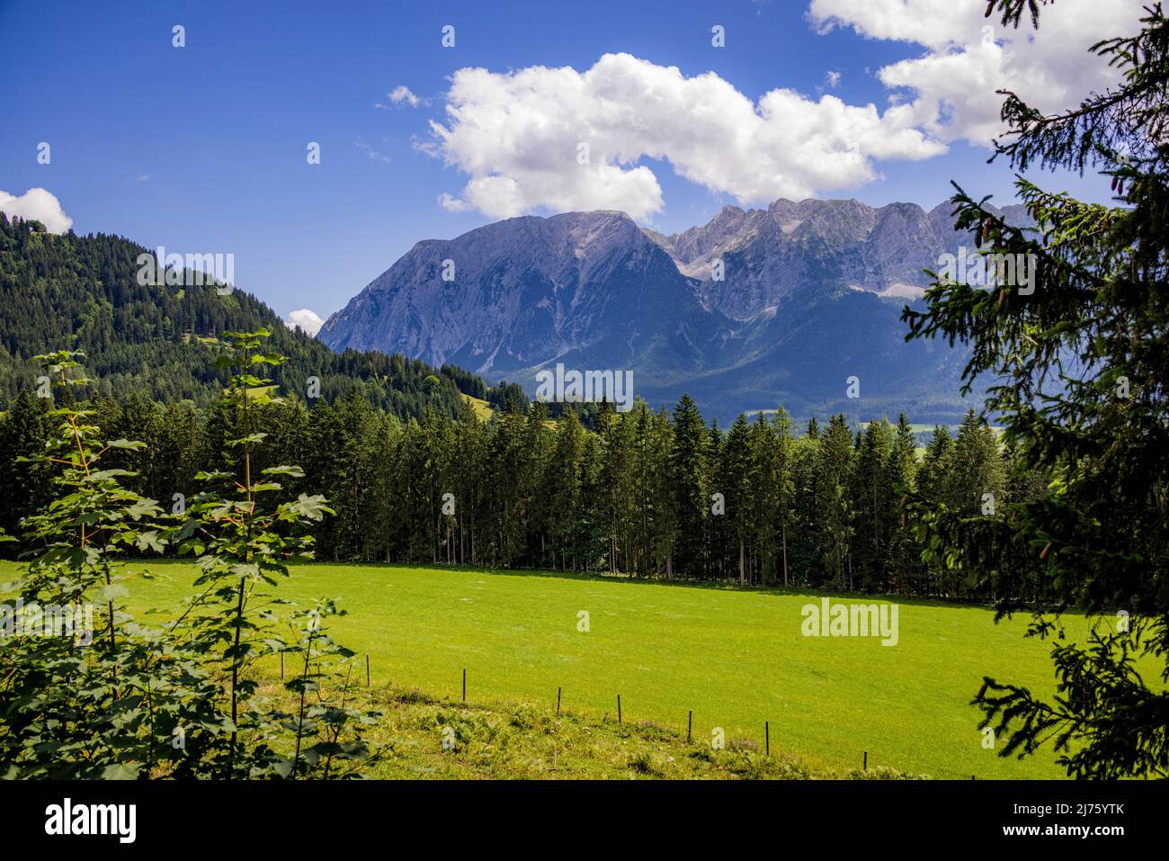 Vista panoramica sulle Alpi austriache con montagne e conifere, Tauplitz, Ausseerland, Salzkammergut, Austria Foto Stock