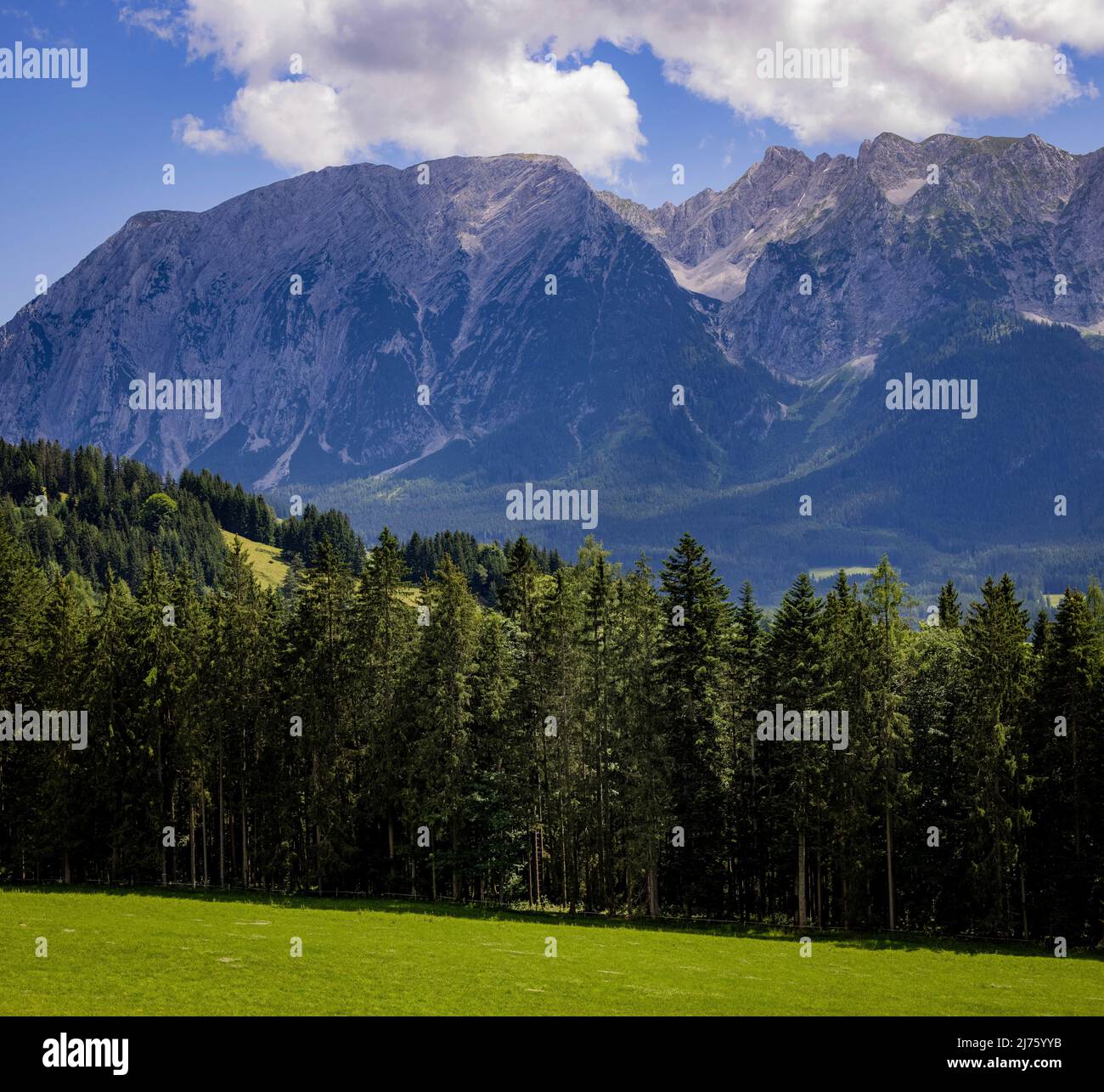 Vista panoramica sulle Alpi austriache con montagne e conifere, Tauplitz, Ausseerland, Salzkammergut, Austria Foto Stock