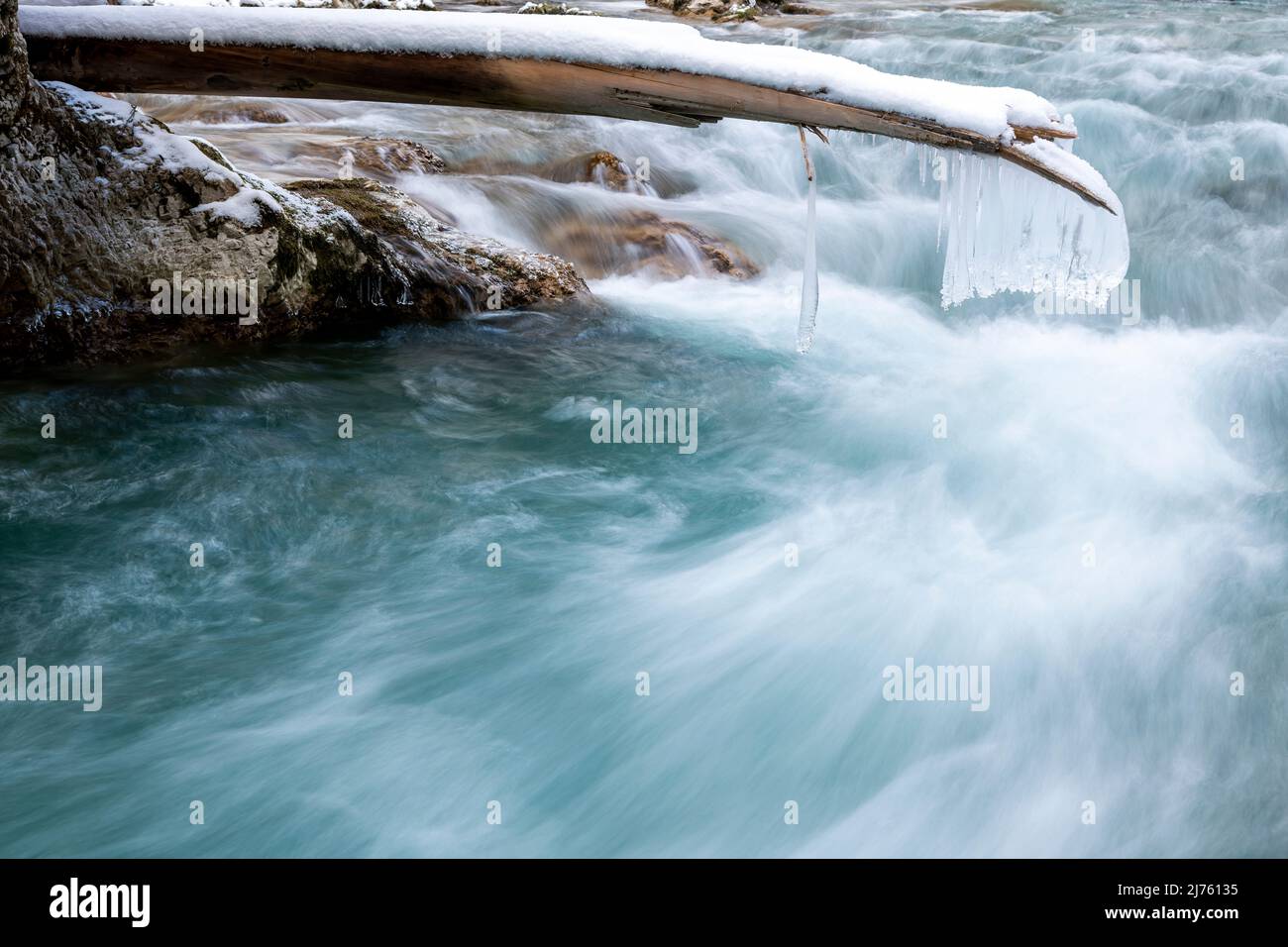 Coni singoli appesi a un tronco di albero rotto sopra il Rissbach nella Eng vicino Hinterriss sopra lo spruzzo del torrente di montagna nelle montagne del Karwendel Foto Stock