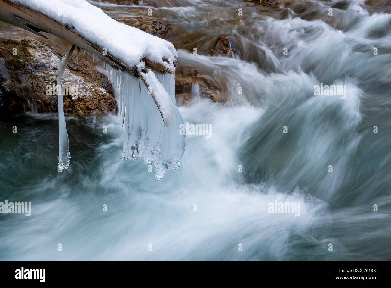Coni singoli appesi a un tronco di albero rotto sopra il Rissbach nella Eng vicino Hinterriss sopra lo spruzzo del torrente di montagna nelle montagne del Karwendel Foto Stock