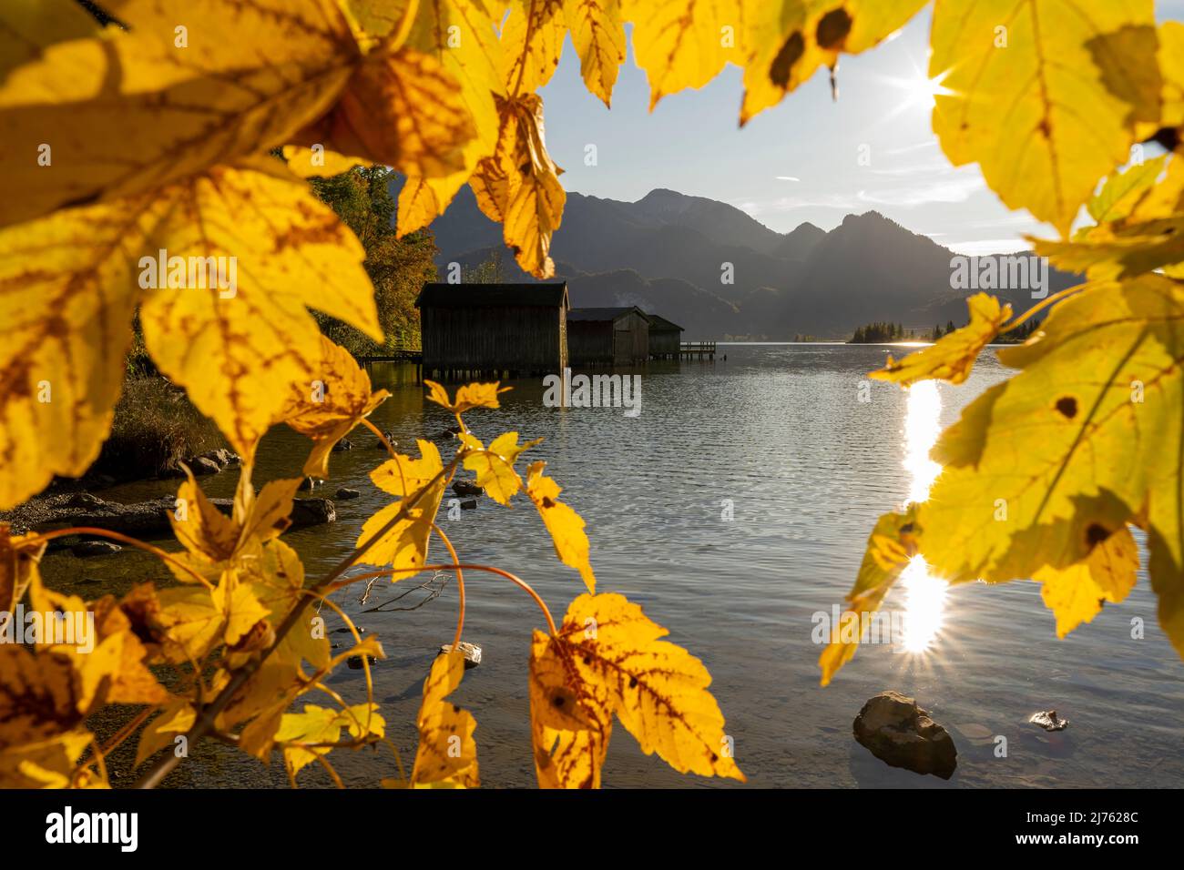 Stella del sole e capanne di pescatori a Kochelsee incorniciata da foglie d'autunno, foglie d'acero fotogrfafiert7. Foto Stock