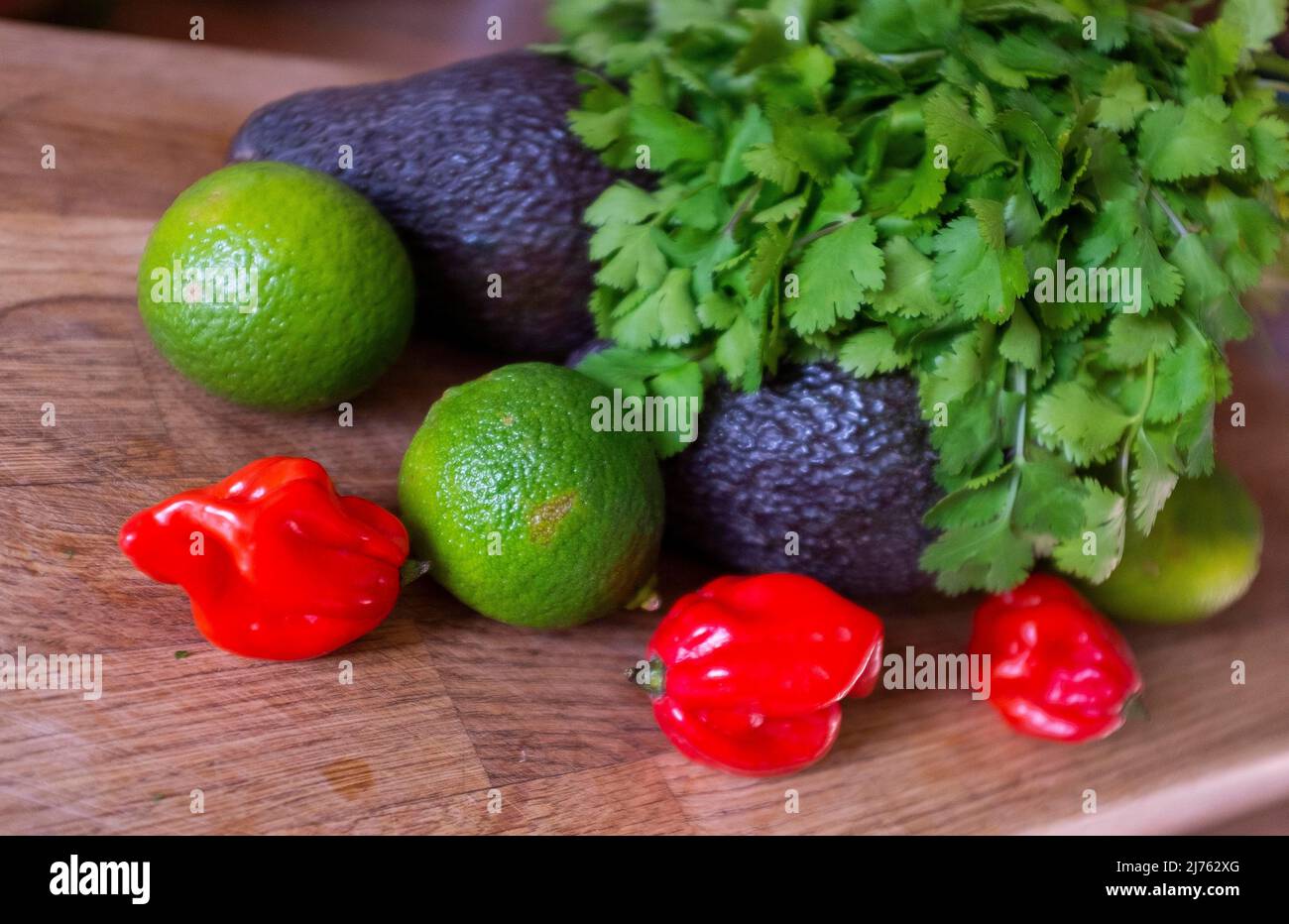 Peperoncino fresco di scotch Bonnet con coriandolo di lime e un avocado ingredienti per fare guacamole Foto Stock
