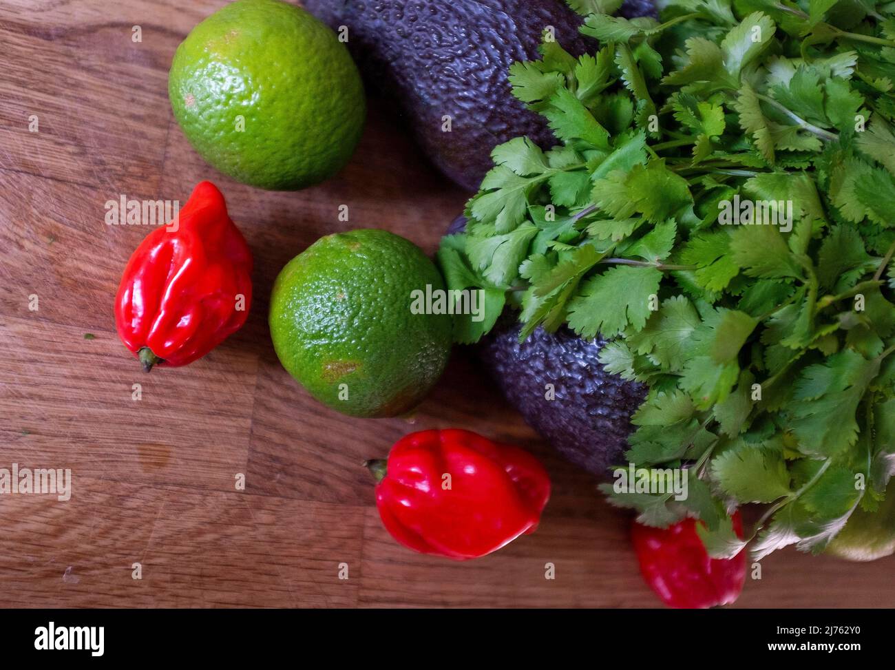 Peperoncino fresco di scotch Bonnet con coriandolo di lime e un avocado ingredienti per fare guacamole Foto Stock
