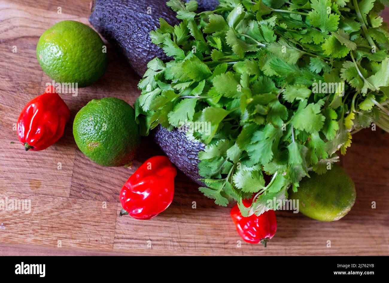 Peperoncino fresco di scotch Bonnet con coriandolo di lime e un avocado ingredienti per fare guacamole Foto Stock