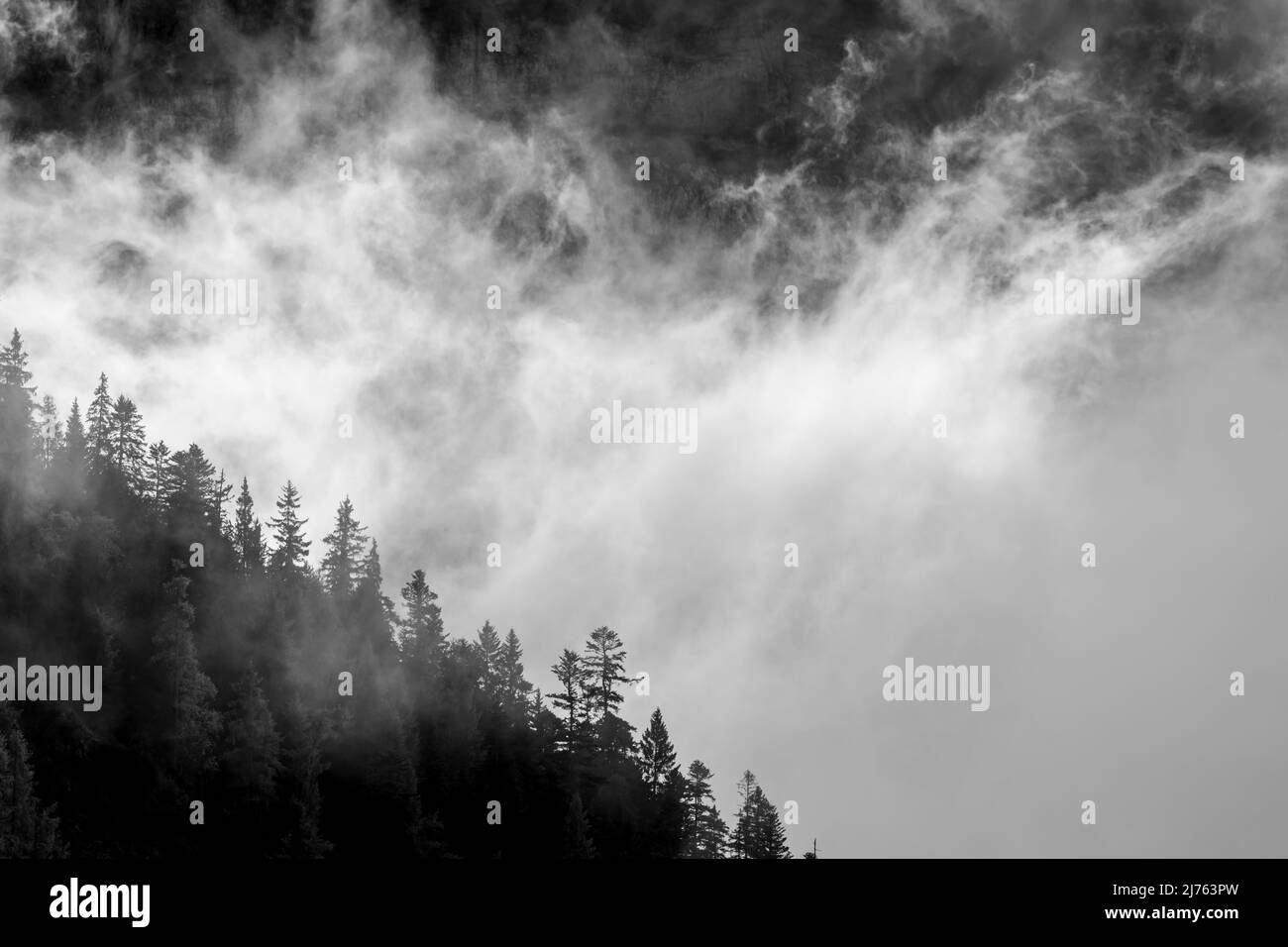 Atmosfera scura di retroilluminazione nella foresta di montagna, sullo sfondo le aspre pareti rocciose del Lalidererwände nel Karwendel, Tirolo / Austria, vicino Hinterriss nel cosiddetto Eng. Foto Stock