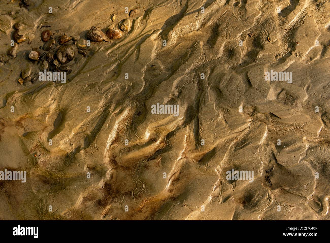Fango di banca con tracce di vari microrganismi sulla riva dell'Isel, uno degli ultimi fiumi selvaggi delle Alpi vicino a Lienz, Tirolo Orientale. Foto Stock