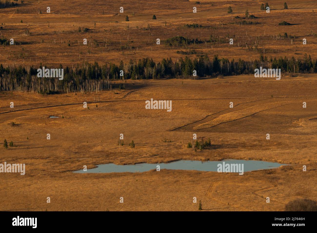 Piccolo lago di ormeggio vicino al Loisach vicino a Kochel, ai piedi delle alpi bavaresi Foto Stock