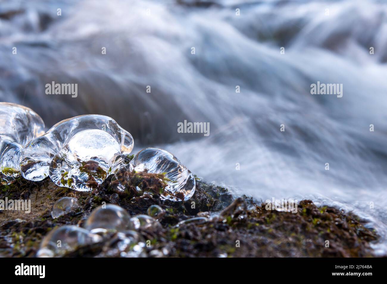 Gocce di ghiaccio sulla riva del Rissbach nel Karwendel in inverno, sullo sfondo l'acqua del piccolo torrente scorre oltre. Foto Stock