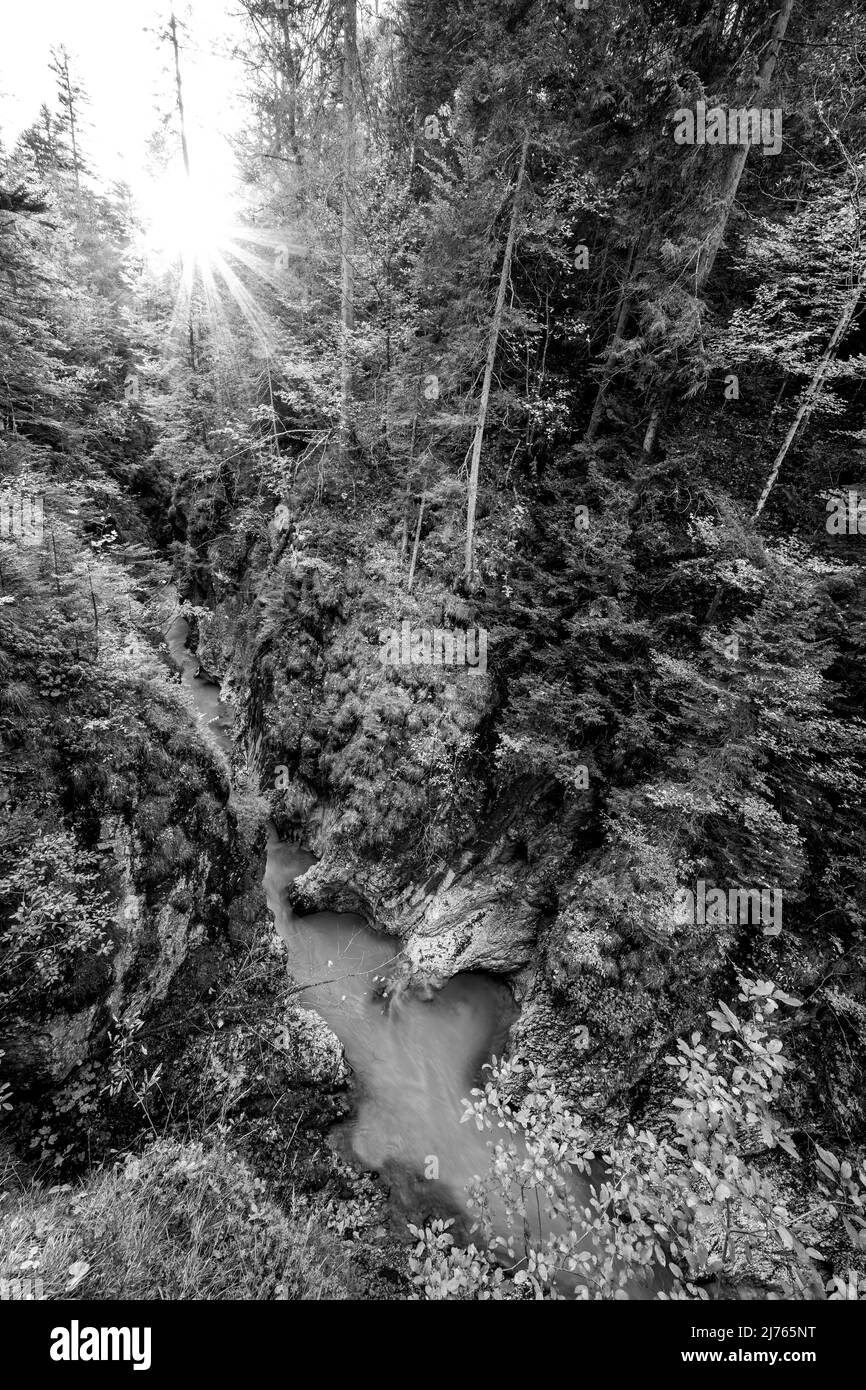 Sole nella foresta autunnale al Geisterklamm Mittenwald, Leutasch vicino alle montagne Wetterstein nelle Alpi. Nella valle scorre il torrente, mentre le pareti rocciose sono colorate con coloratissime foglie. Foto Stock
