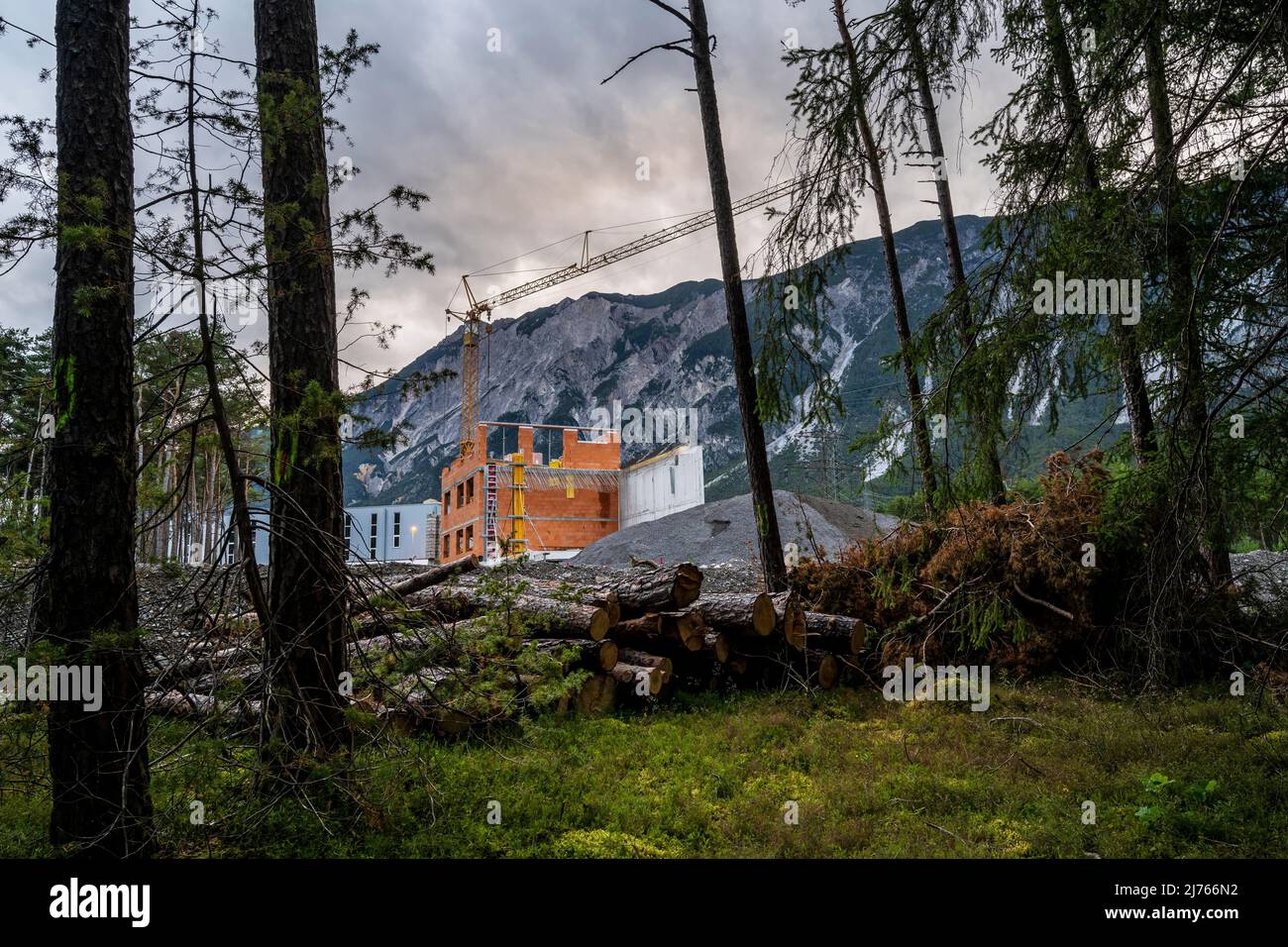 Documentazione della deforestazione dell'ultima foresta montana rimasta nella valle dell'Inn vicino a Haining a favore della costruzione di case residenziali e aree industriali. Foto Stock