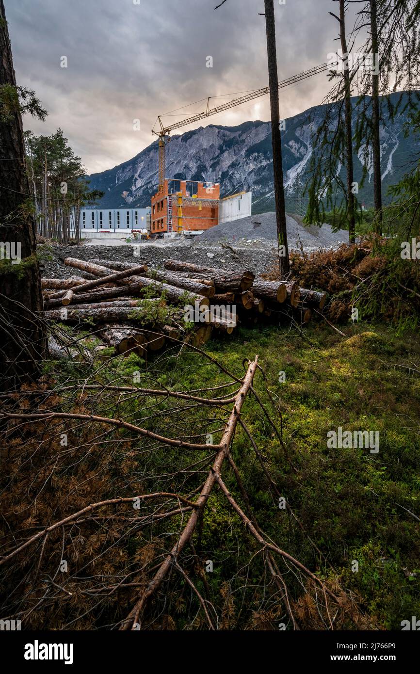 Documentazione della deforestazione dell'ultima foresta montana rimasta nella valle dell'Inn vicino a Haining a favore della costruzione di case residenziali e aree industriali. Foto Stock