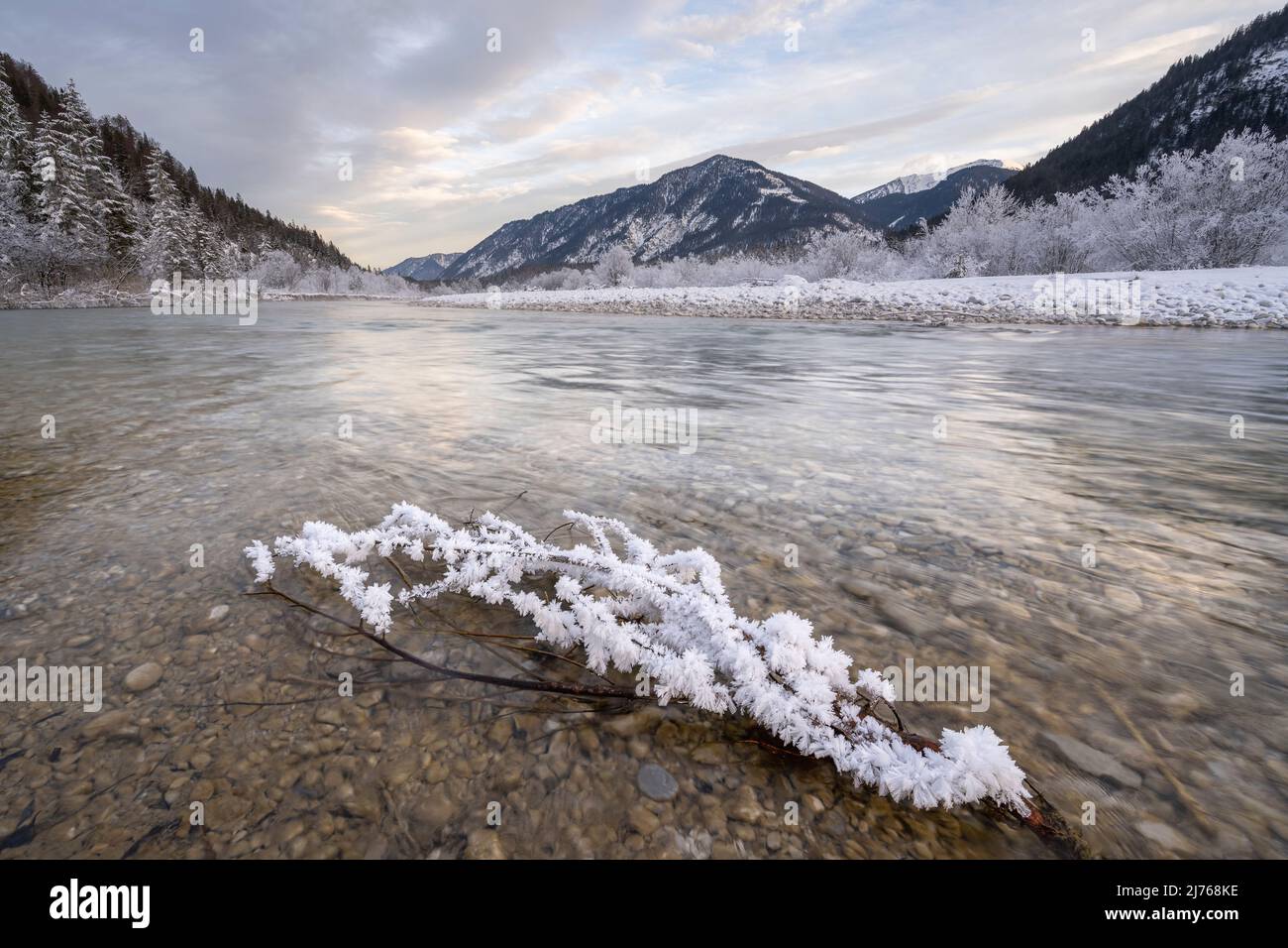 Hoarfrost nei prati Isar, nell'acqua che scorre oltre è un ramo con formazioni di ghiaccio, sullo sfondo le montagne in direzione del bacino di Sylvenstein fotografato e affilato in tutto utilizzando fuoco impilamento. Foto Stock