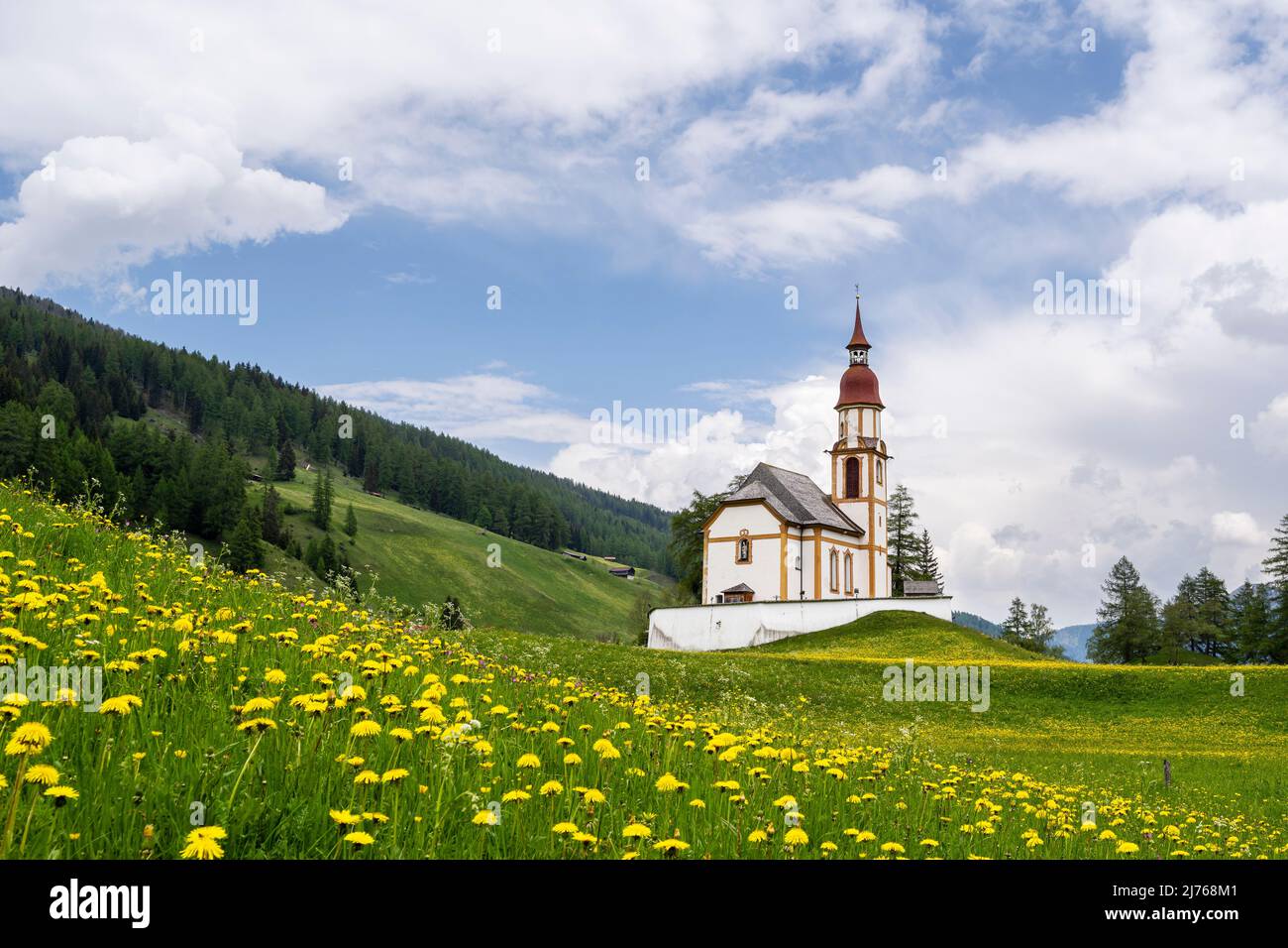La storica chiesa di San Nicola a Obernberg am Brenner in Tirolo. In primo piano un prato di fiori con fiori di dente di leone, sullo sfondo blu cielo e nuvole. Foto Stock