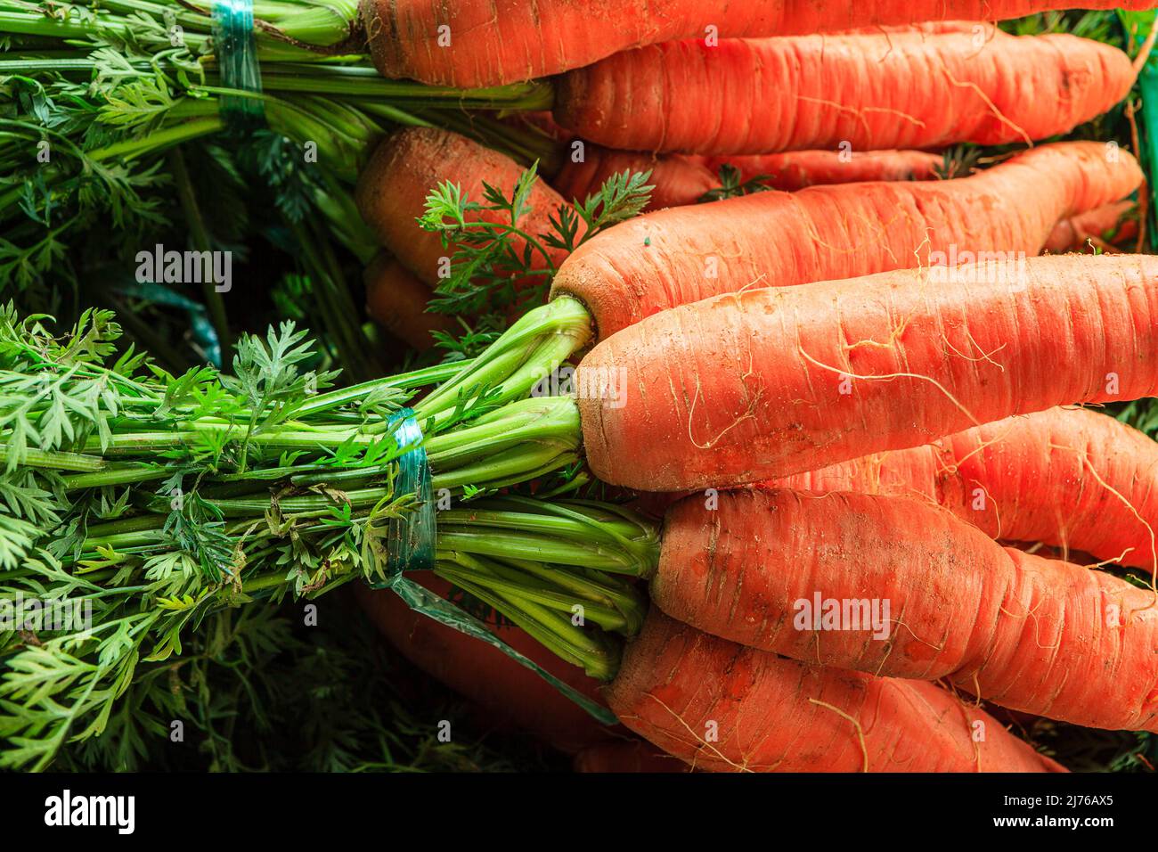 Le carote fresche con verde Foto Stock
