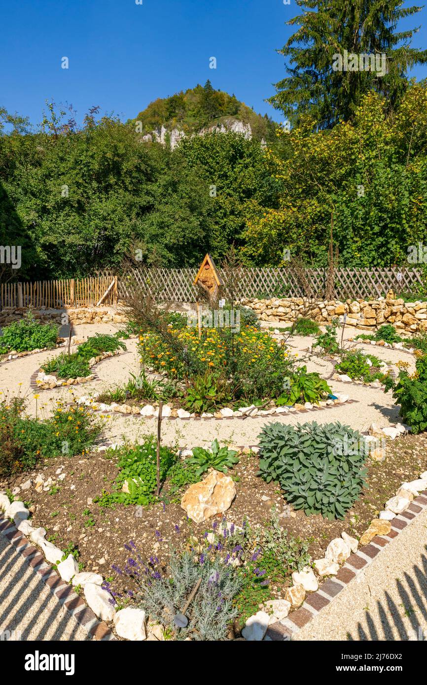 Germania, Schelklingen, piante medicinali, alimentari e coloranti tipiche sono esposti nel giardino selvatico delle erbe vicino al centro informazioni Hütten. Foto Stock