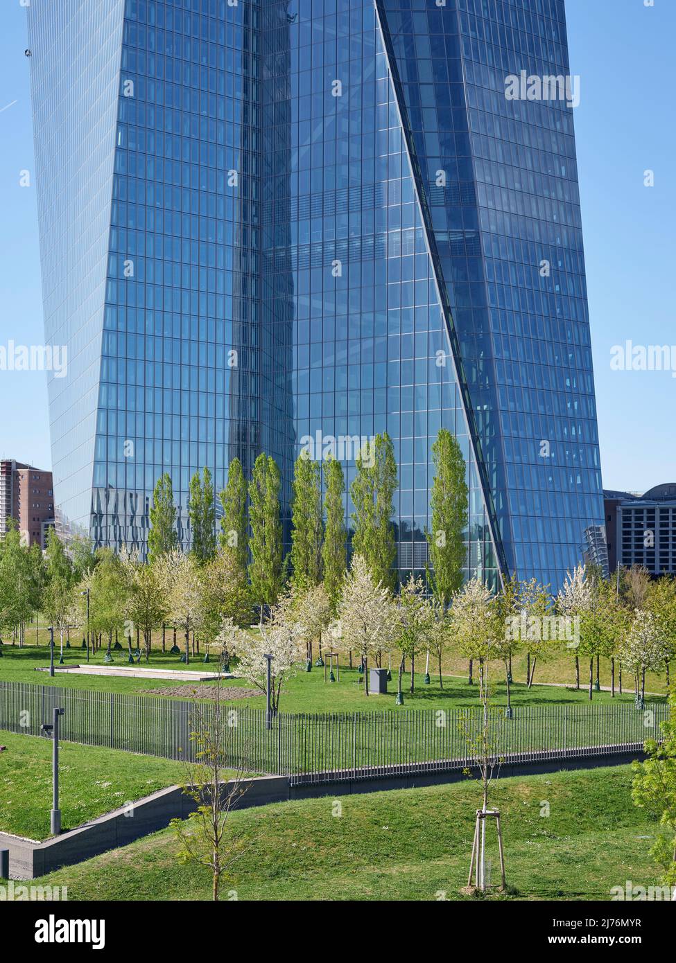 La primavera è arrivata nel giardino della Banca Centrale europea a Francoforte, con la BCE che torreggia sullo sfondo Foto Stock