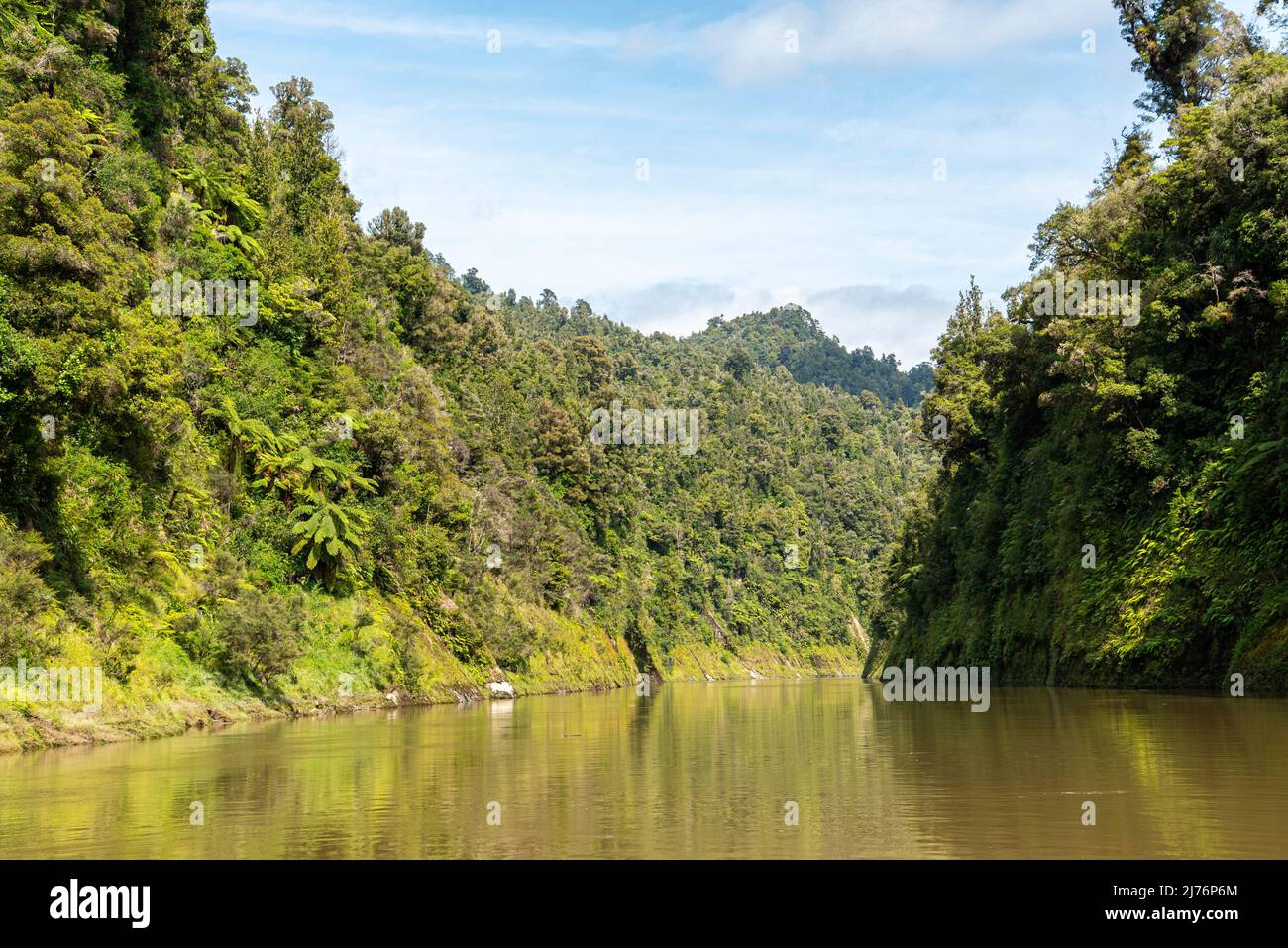 Tour sul fiume Whanganui incontaminato e attraverso la giungla circostante, Isola del Nord della Nuova Zelanda Foto Stock
