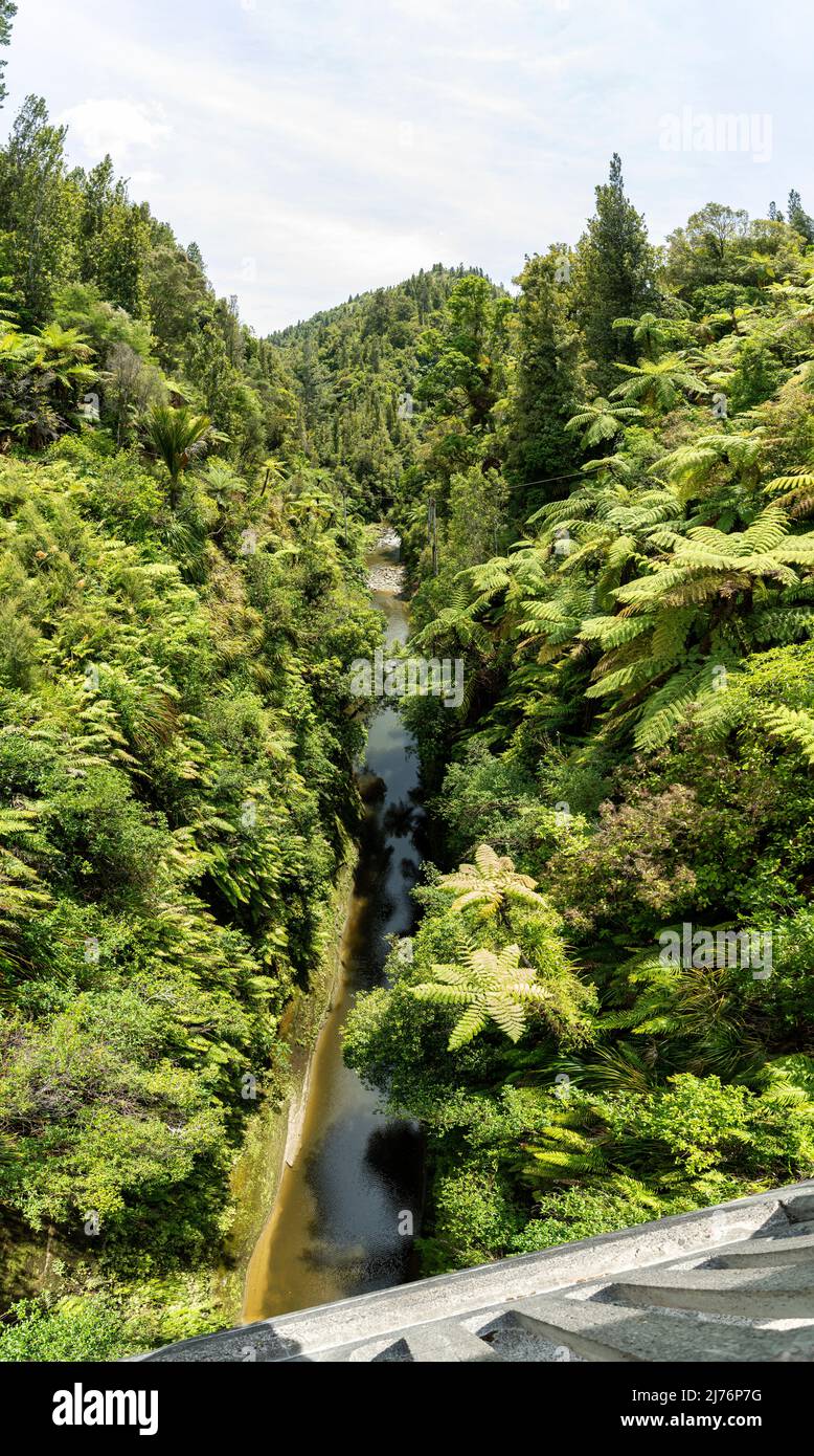 Tour sul fiume Whanganui incontaminato e attraverso la giungla circostante, Isola del Nord della Nuova Zelanda Foto Stock