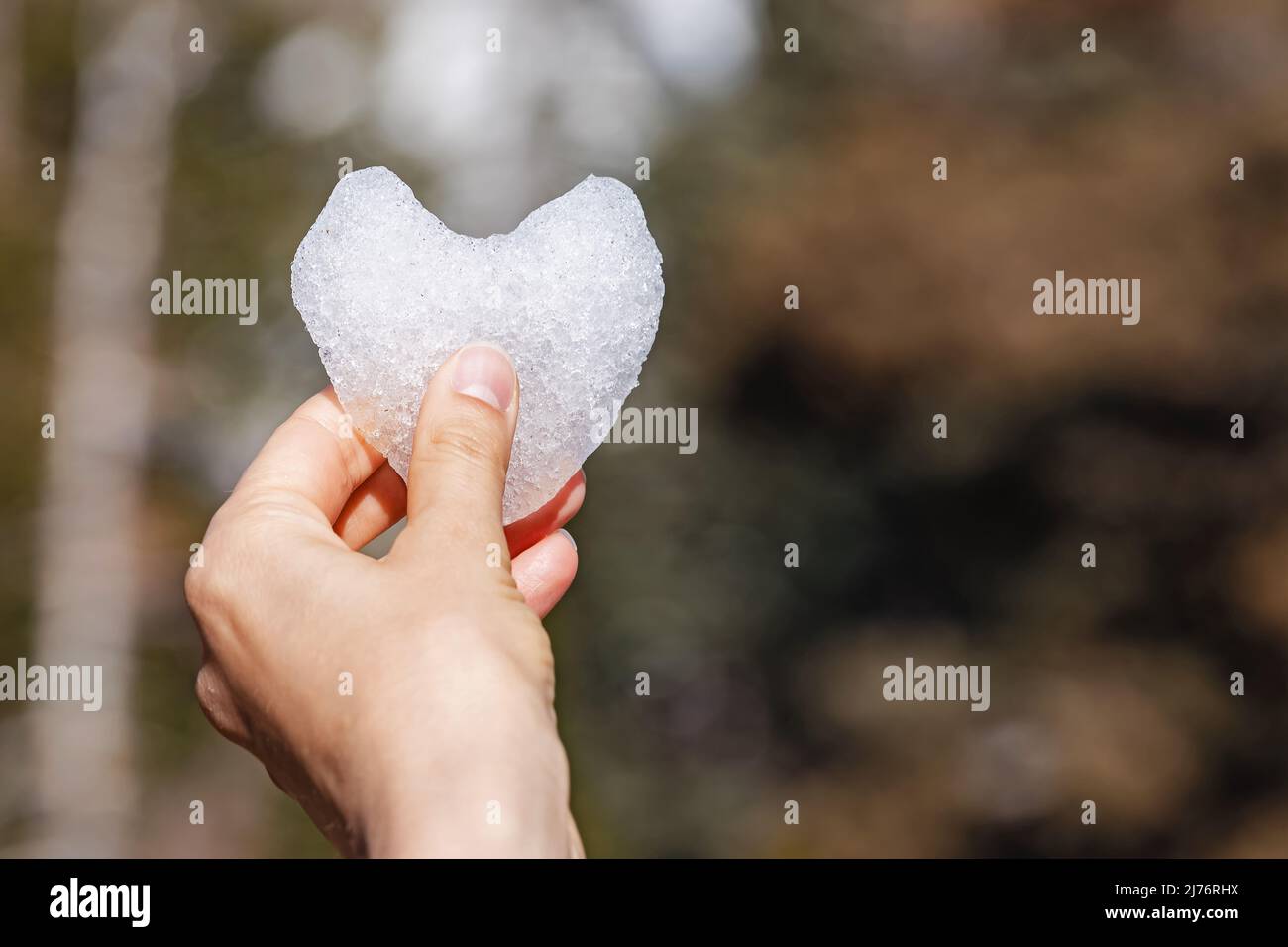 Cuore di tenuta in primo piano con neve Foto Stock