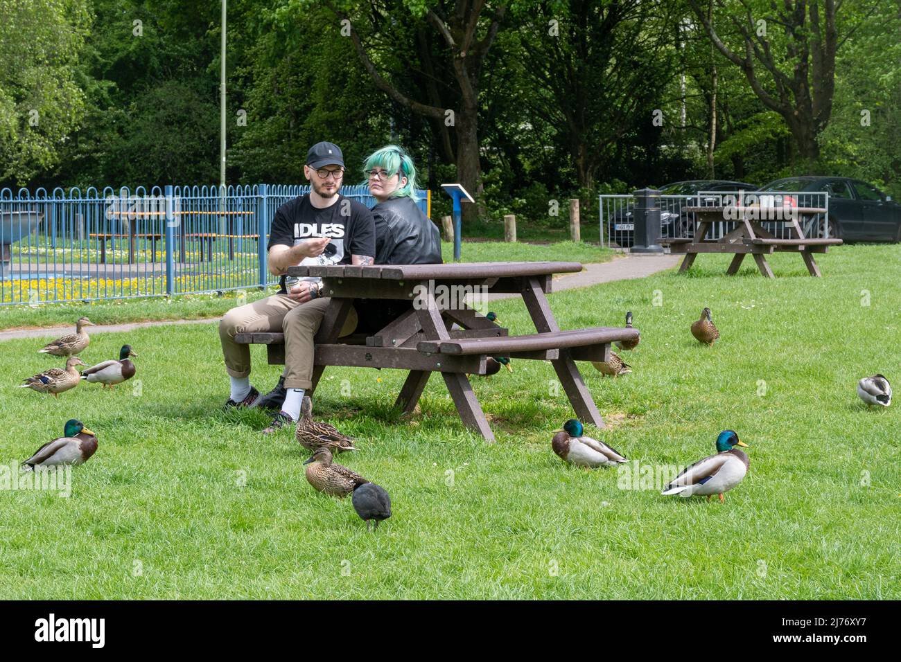 Giovane coppia seduta in un parco che alimenta le anatre Foto Stock