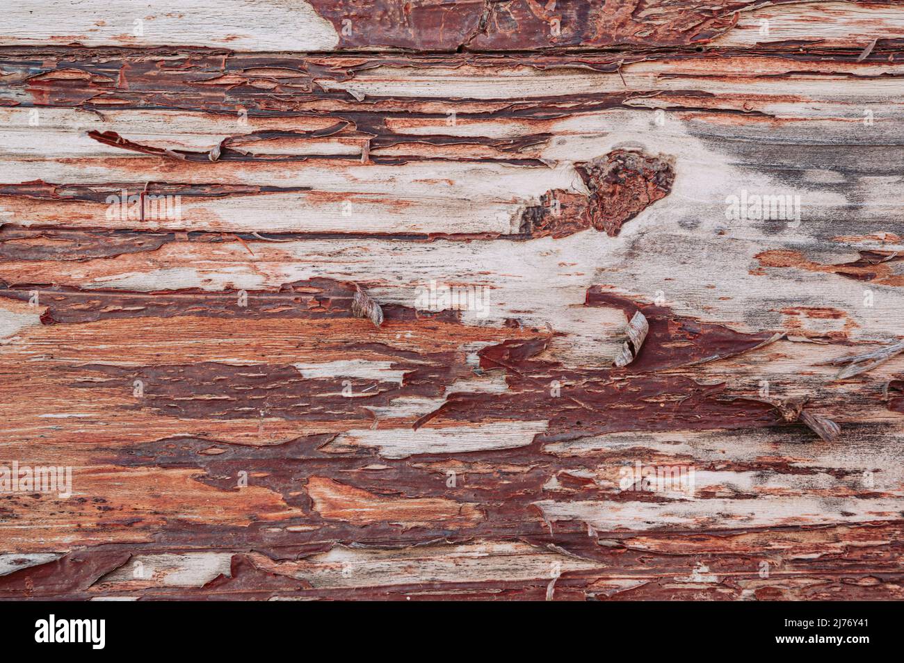 Vecchio grunge sfondo texture tabella wooded Foto Stock