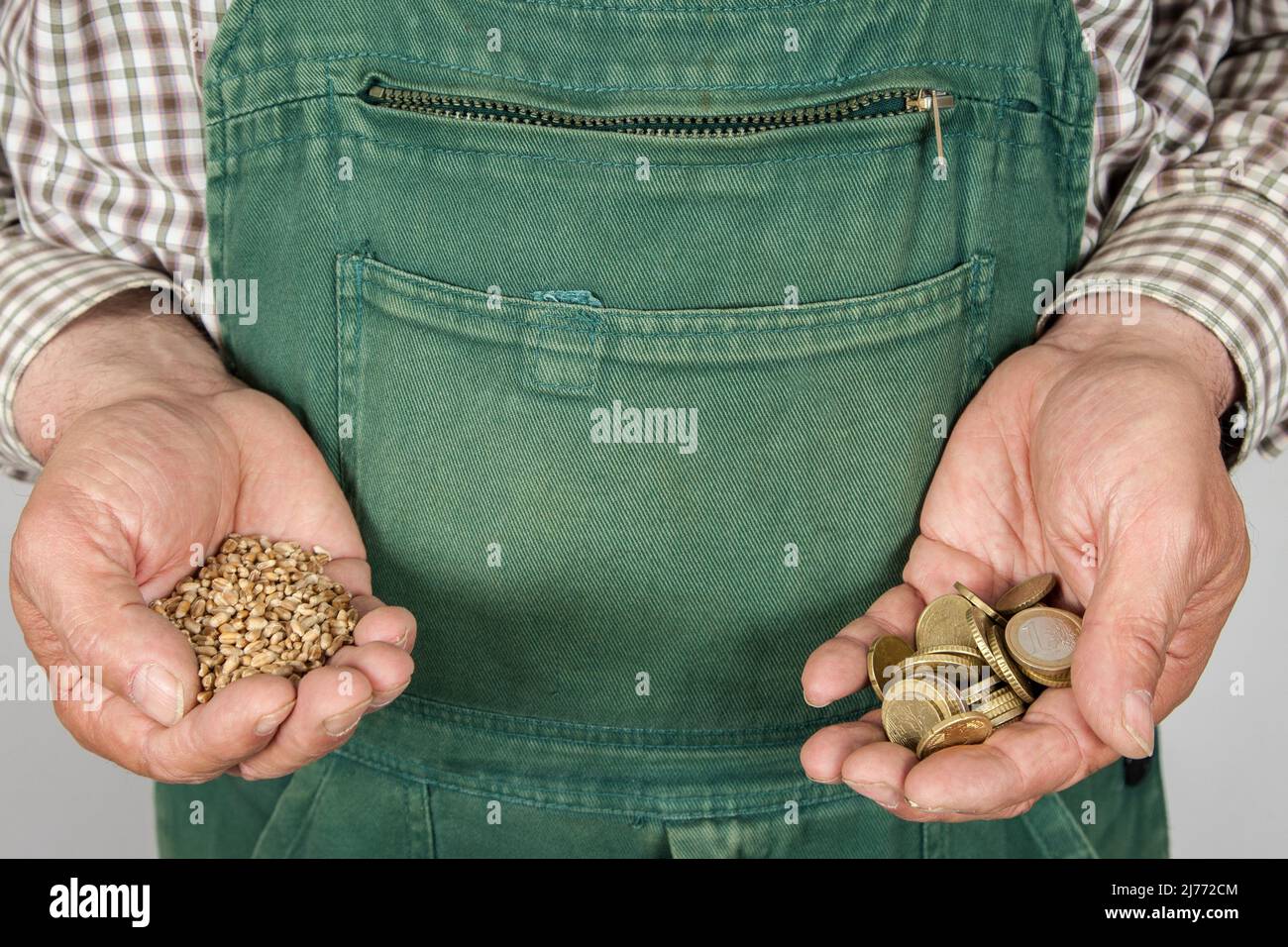 Un agricoltore tiene il grano nella sua mano destra e una manciata di monete in euro nella sua sinistra. Gli alti prezzi dei cereali spaventano gli agricoltori, i commercianti e i consumatori. Foto Stock