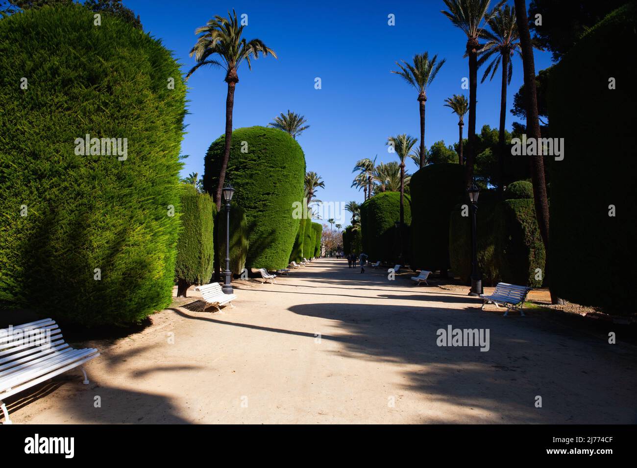 Cadice, Spagna - Febbraio 7,2022: Nel Parco Genoves, Giardini Botanici a Cadice, Andalusia, Spagna. Cadice è un'antica città portuale dell'Andalusia reg Foto Stock