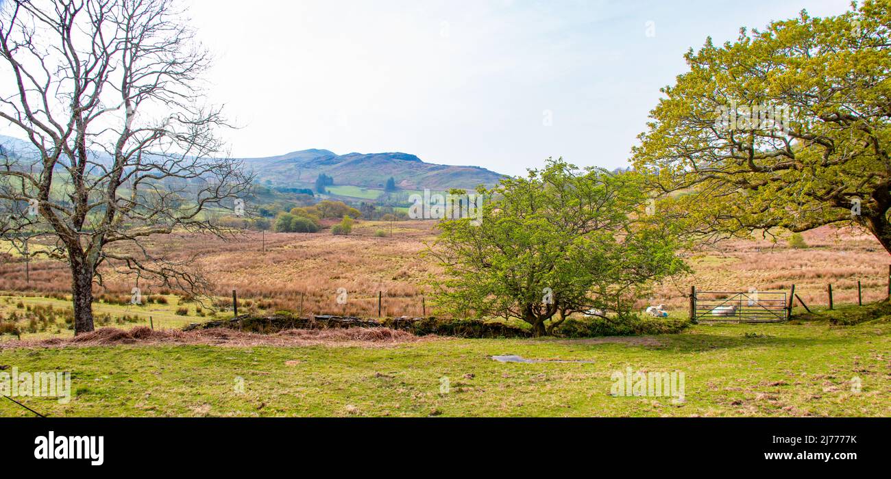 Vista della CWM Pennant Valley, Snowdonia, Galles del Nord Foto Stock