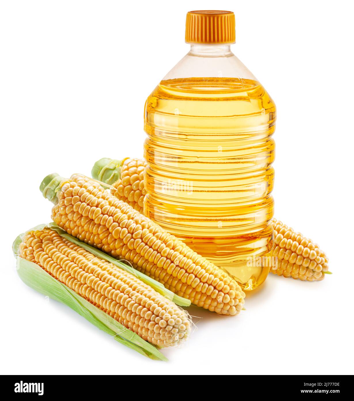 Bottiglia di olio di mais, spighe di mais isolate su sfondo bianco. Il più popolare di oli vegetali. Foto Stock