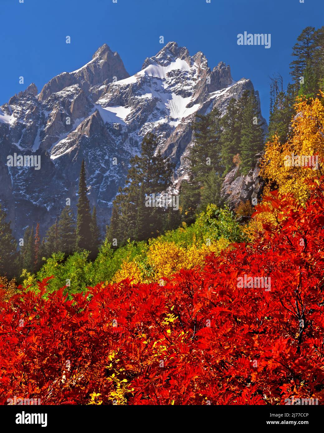 Grand Teton e Mt. Owen nel mese di ottobre, Grand Teton National Park, Wyoming Foto Stock