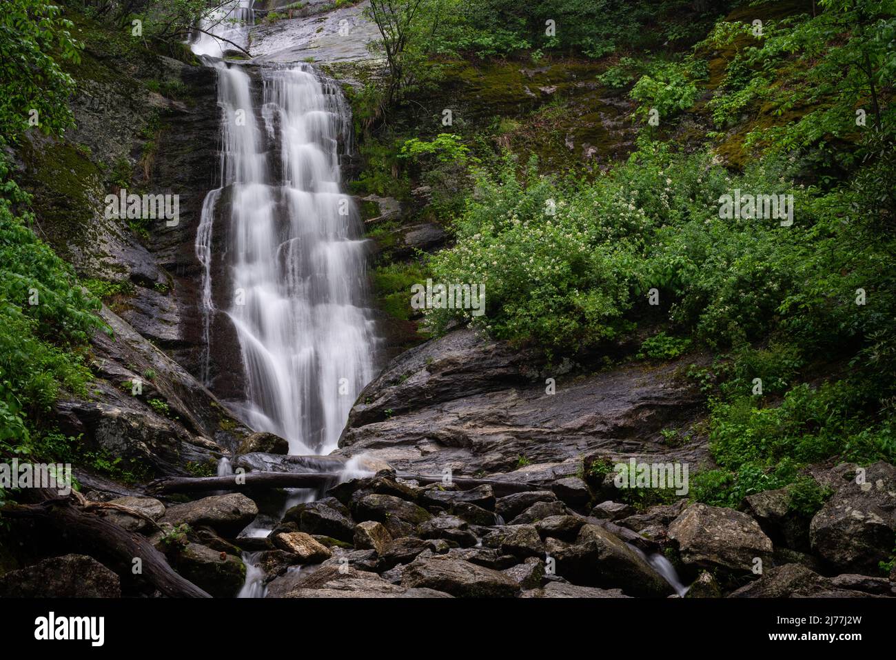 Cascate di Tom's Creek Foto Stock