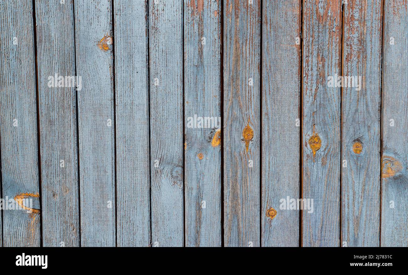 Frammento di un muro da vecchie tavole blu Foto Stock