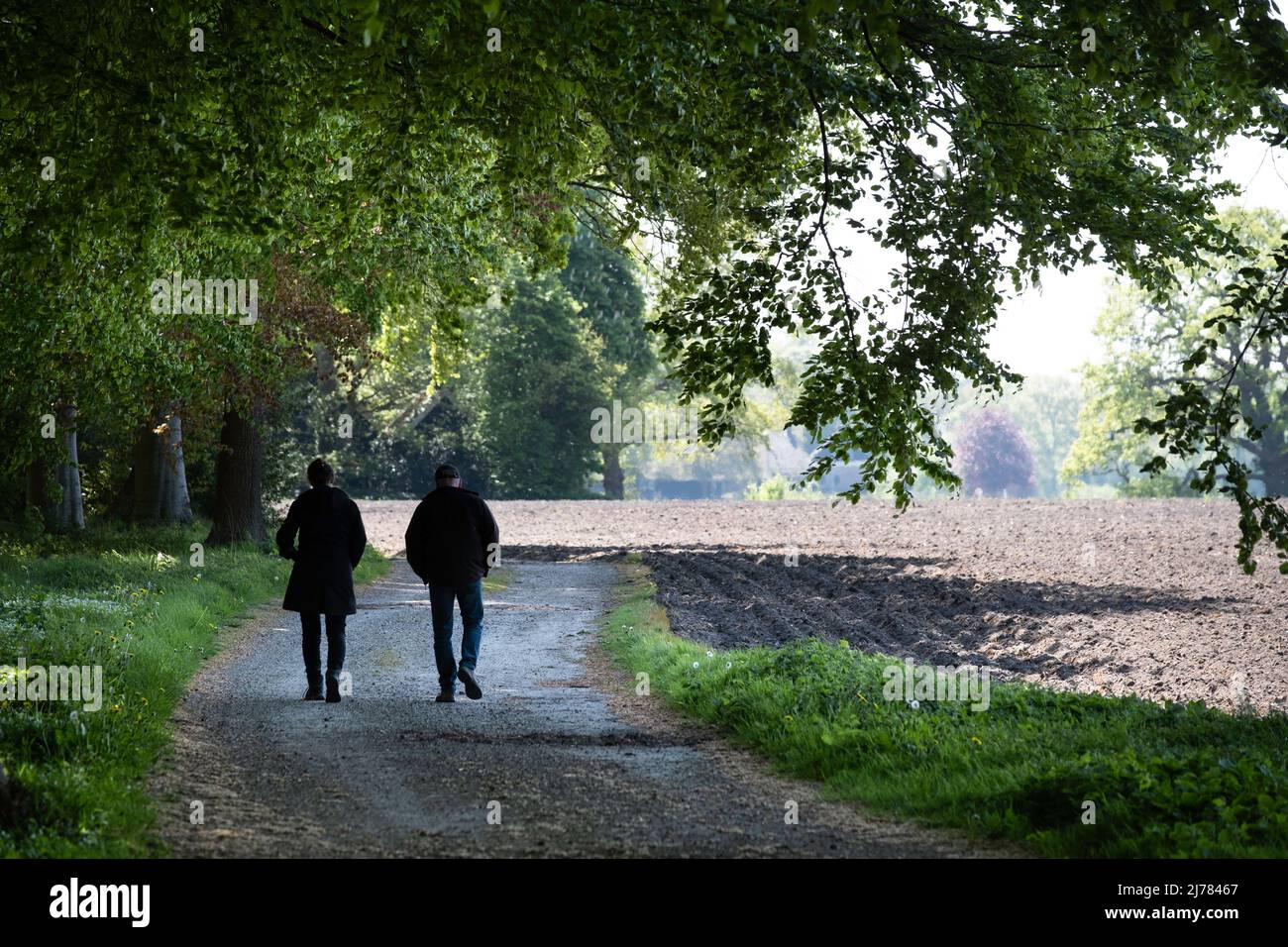 Uomo e donna irriconoscibili che camminano su un sentiero sabbioso sotto un baldacchino di alberi, passando una foresta e un campo di fattoria Foto Stock