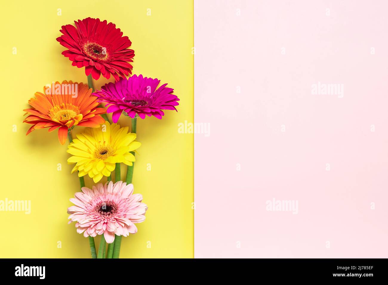 Bouquet di gerberi su sfondo giallo, rosa Vista dall'alto piatto Lay biglietto di auguri vacanza buon moter's day, 8 March, San Valentino, Pasqua Concept Cop Foto Stock