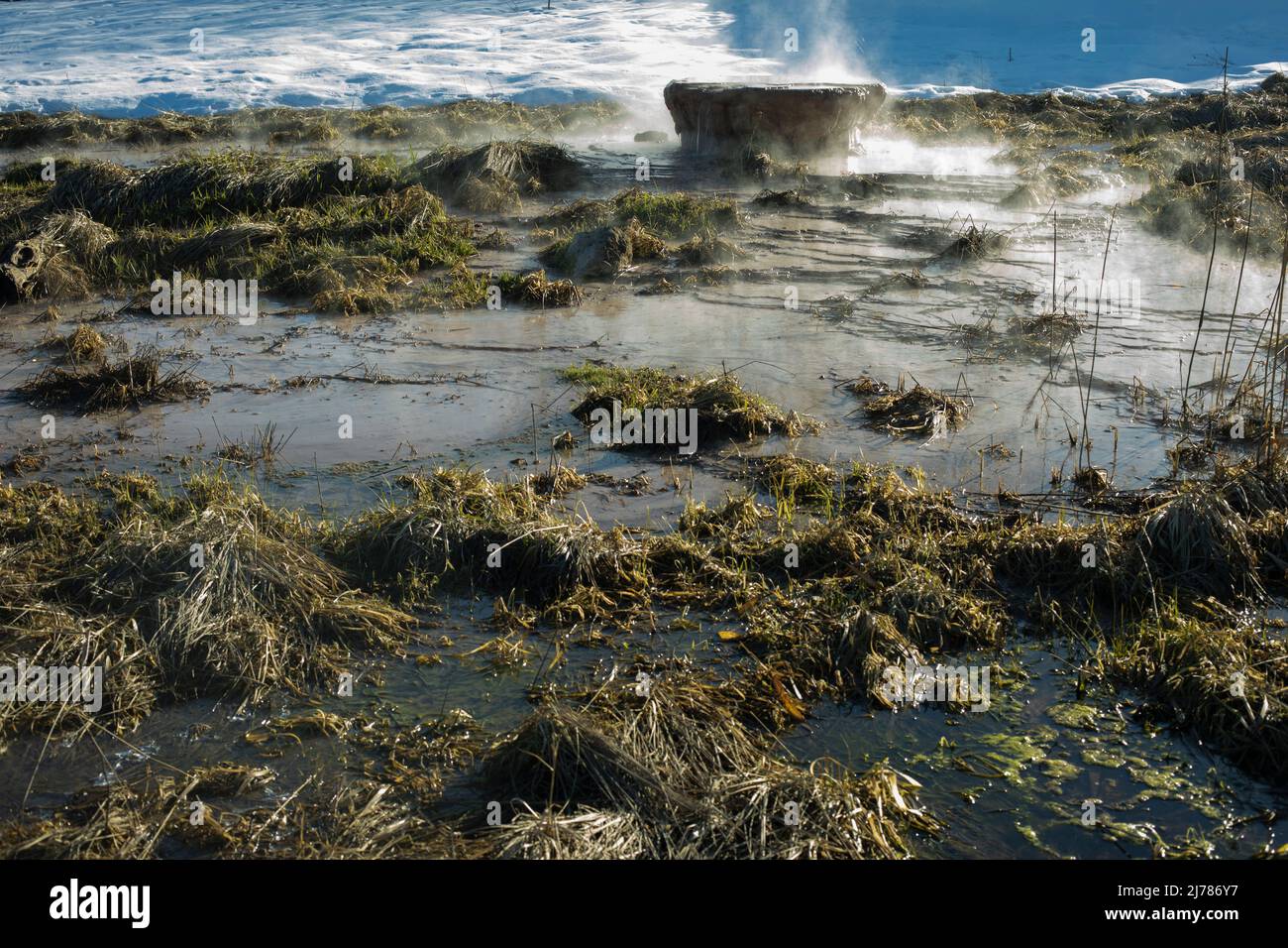 Il tubo sporge da terra nella palude. Artefatto nell'ambiente. Il tubo arrugginito rilascia acqua nel fiume. Inquinamento dell'ambiente. Foto Stock