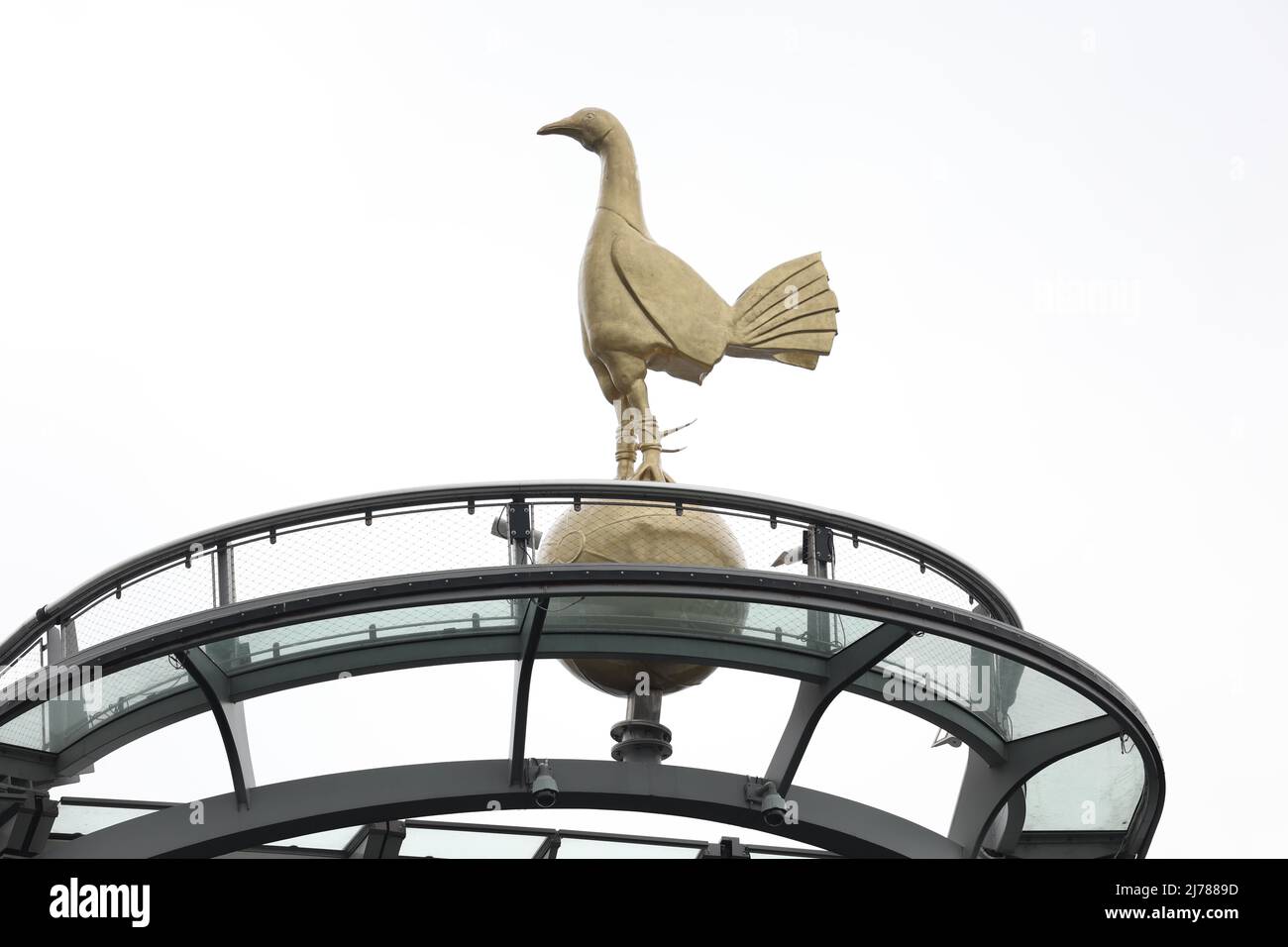 Il Cockerel d'Oro in cima al Tottenham Hotspur Stadium, Londra. Foto Stock