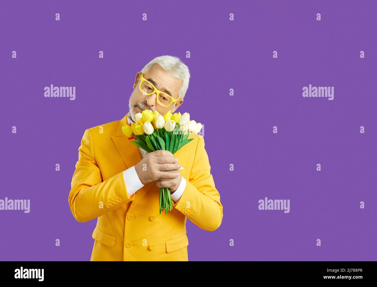 Primo piano ritratto felice, uomo anziano, tenuta, odore bouquet di tulipani gialli in mano, isolato sfondo viola. Emozioni umane, viso, viso Foto Stock