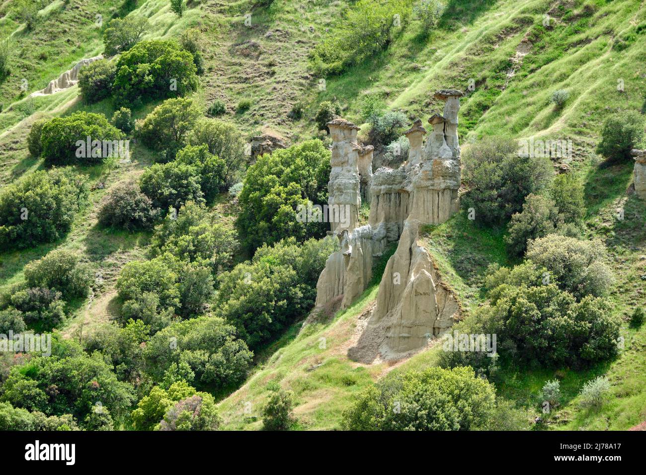 Formazione rocciosa di Kuladocia, camino fata e hoodoo rock, formazione geologica naturale a Manisa Kula Turchia durante la primavera e erba verde. Foto Stock
