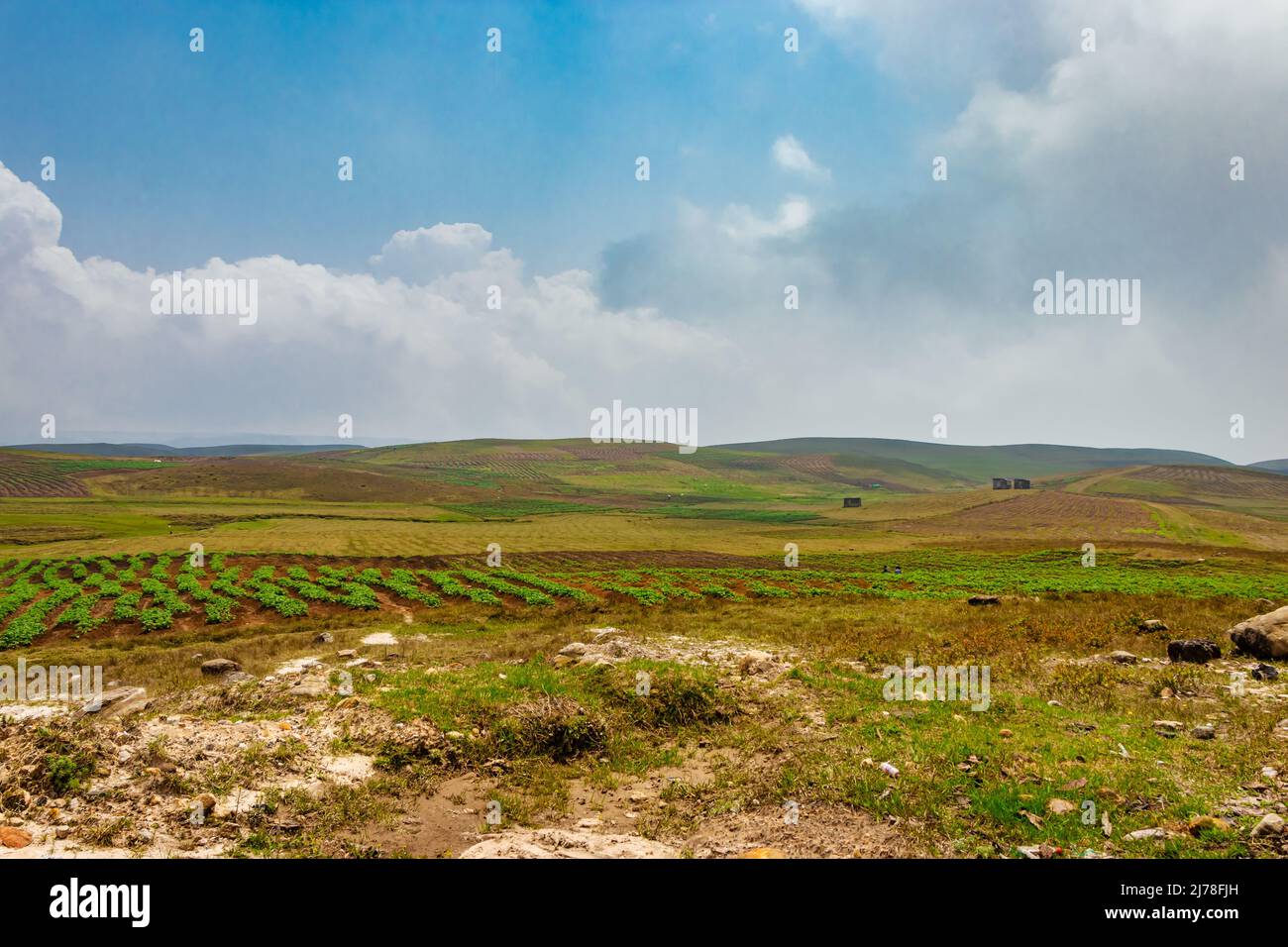 agricoltura di montagna campi agricoli con cielo azzurro luminoso al mattino da angolo piatto Foto Stock