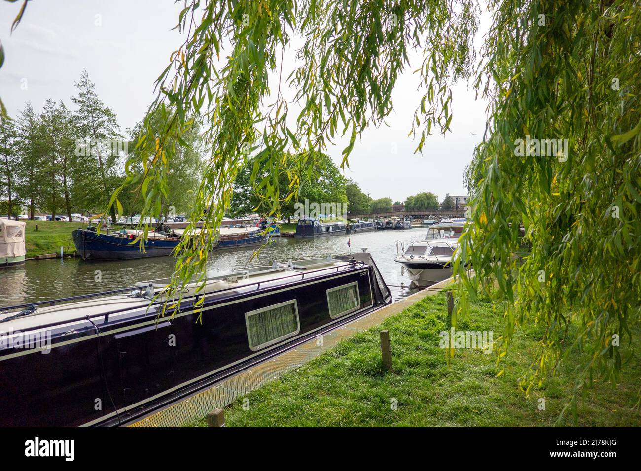 Fiume Great Ouse, Ely Foto Stock
