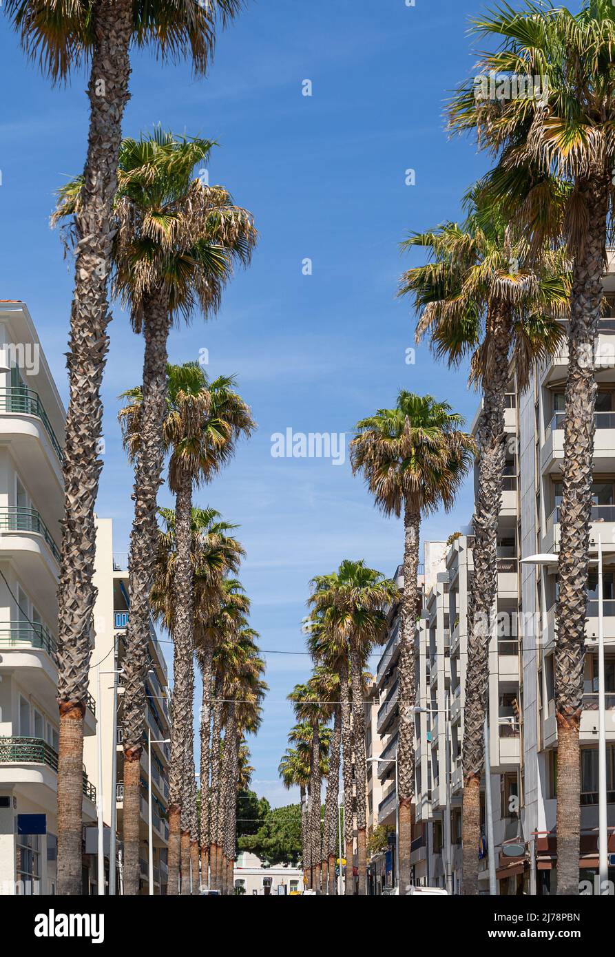 Juan Les Pins in Provenza Alpi Costa Azzurra Foto Stock