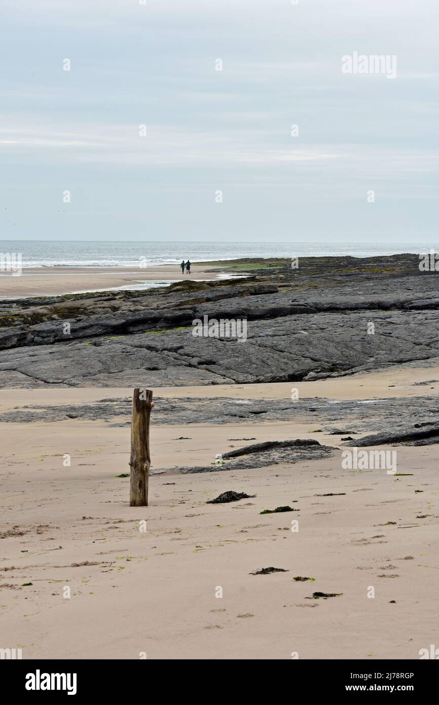 Lone posto in legno e coppia a piedi. Spiaggia di Seahouses, Northumberland Foto Stock