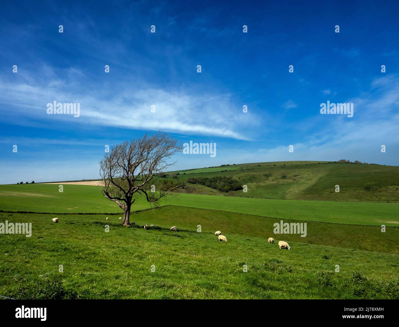 South Downs, West Sussex, Inghilterra, Regno Unito, preso dal South Downs Way sopra Steyning verso Steyning Bowl Foto Stock