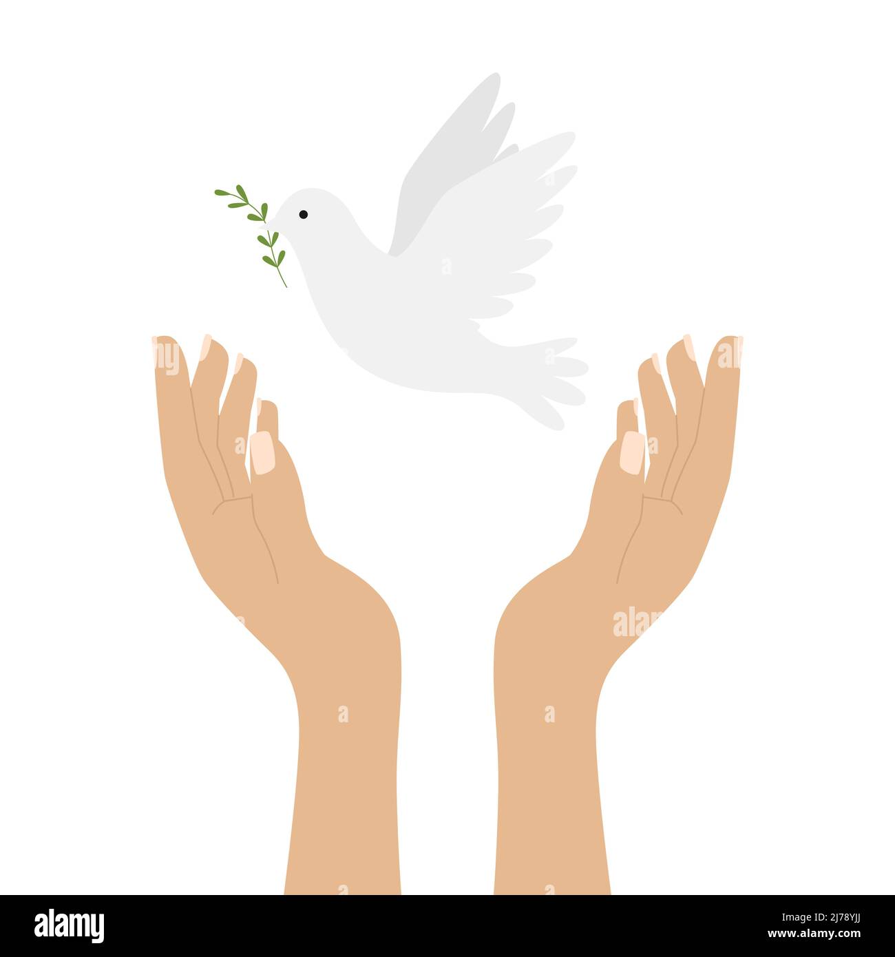 Mani umane elevate che rilasciano una colomba bianca, simbolo di pace. Un uccello volante di pace. Illustrazione a colori in uno stile piatto isolato su uno sfondo bianco Illustrazione Vettoriale