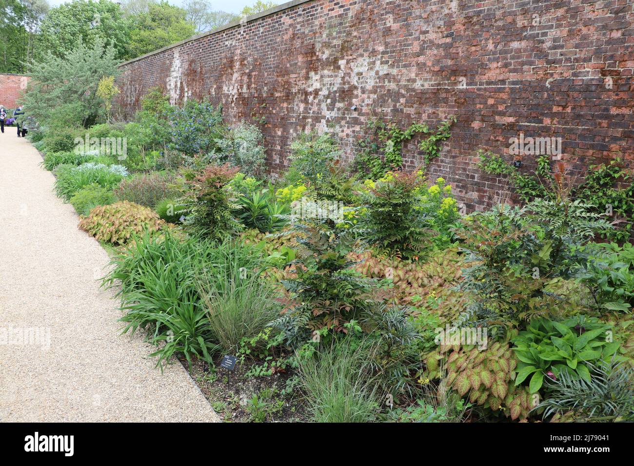 RHS Bridgewater Gardens Manchester Walled Garden Foto Stock