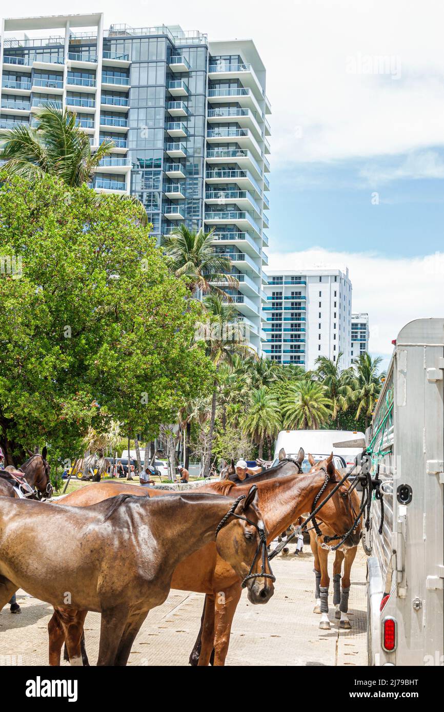 Miami Beach Florida Beach Polo World Cup Miami evento annuale ponies cavallo rimorchio W South Beach Hotel Collins Park Foto Stock